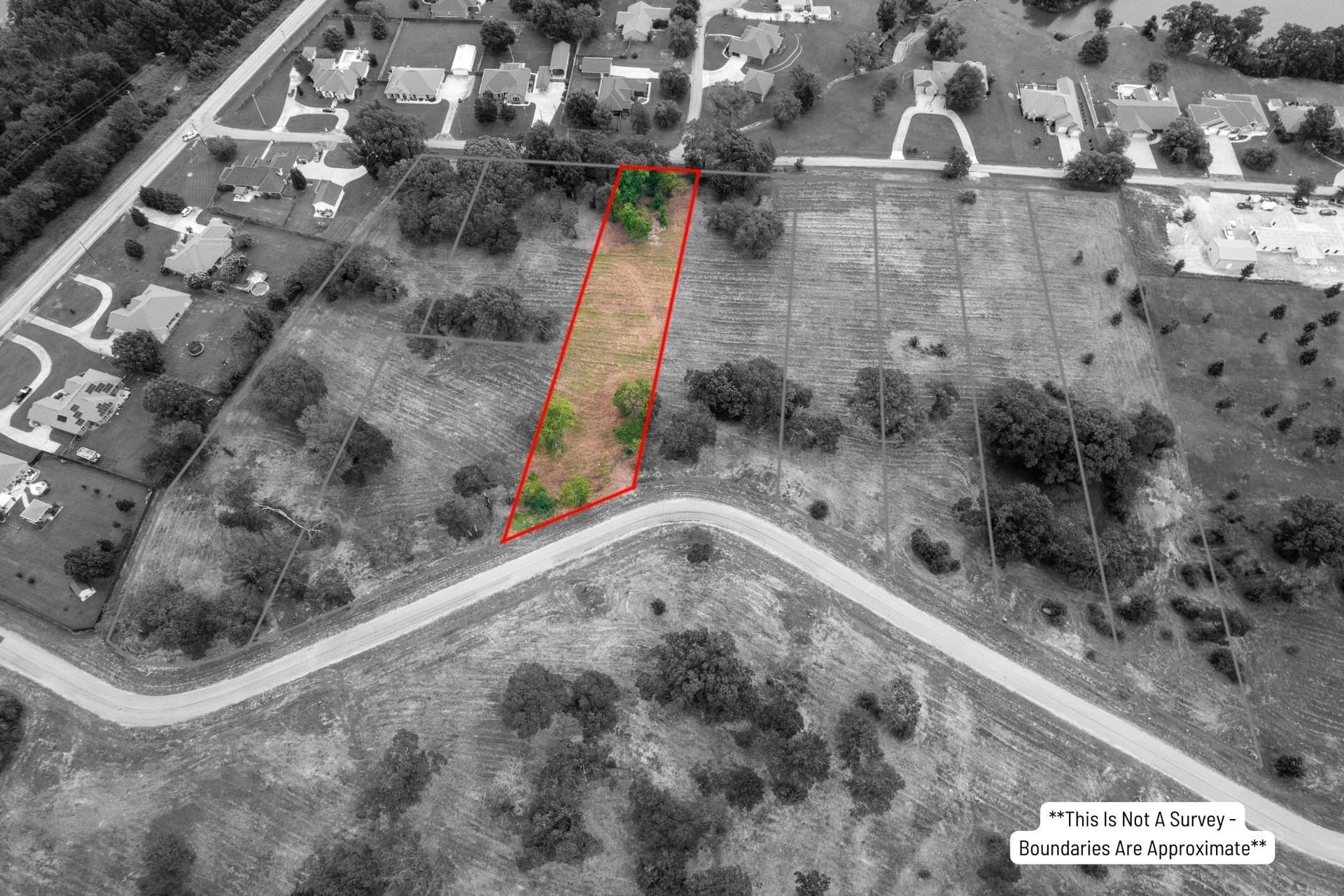 1 acres in Titus County - photo 3