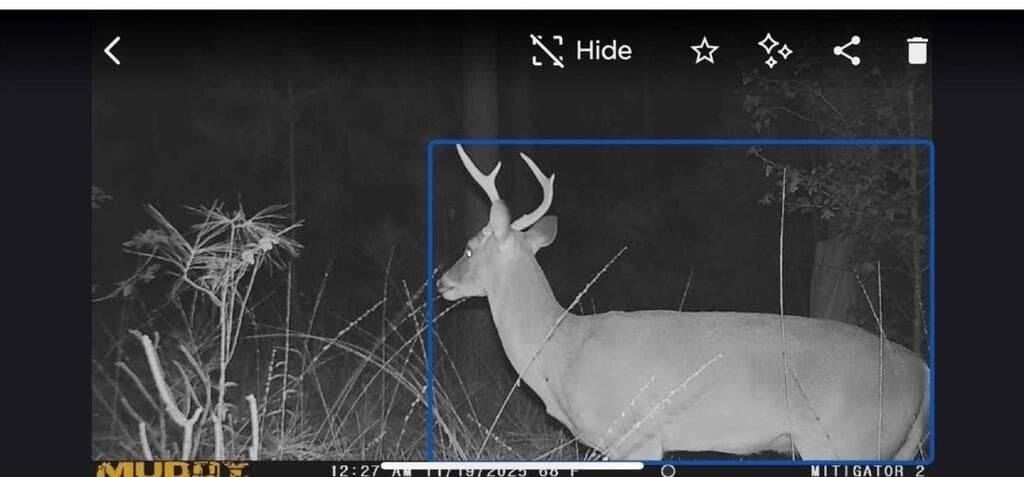 12.68 acres in Texas County - photo 10
