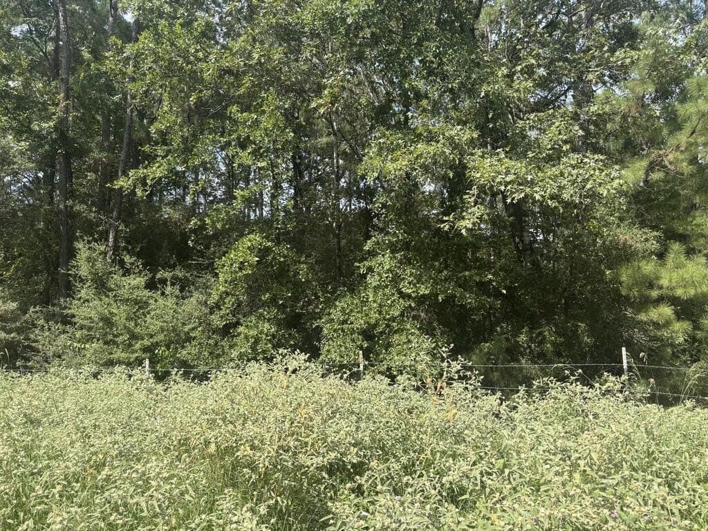 12.68 acres in Texas County - photo 4