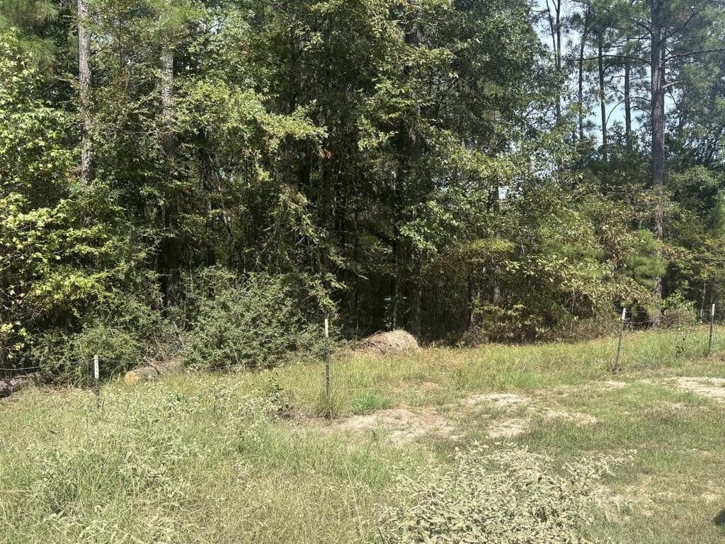 12.68 acres in Texas County - photo 5