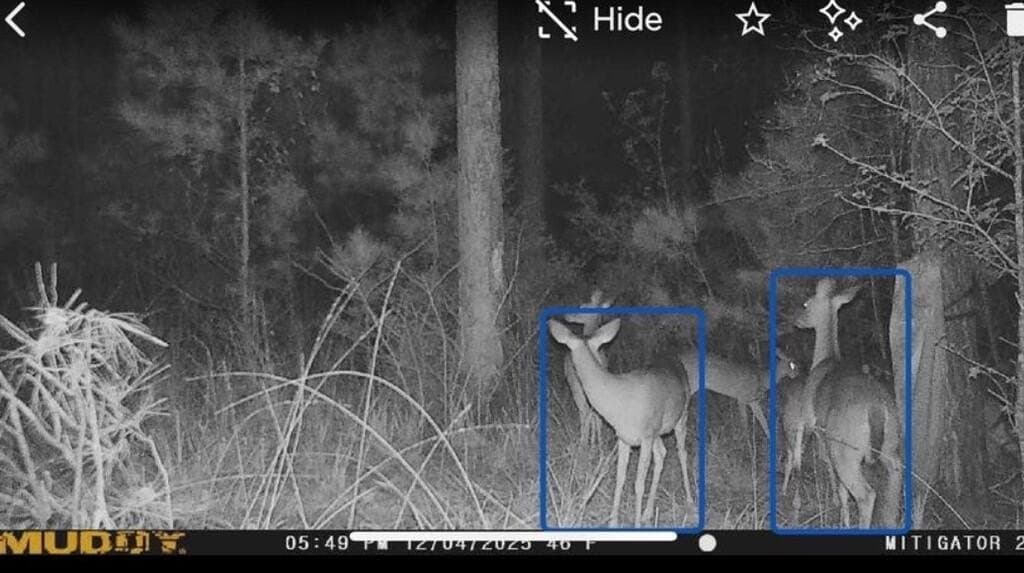 12.68 acres in Texas County - photo 11