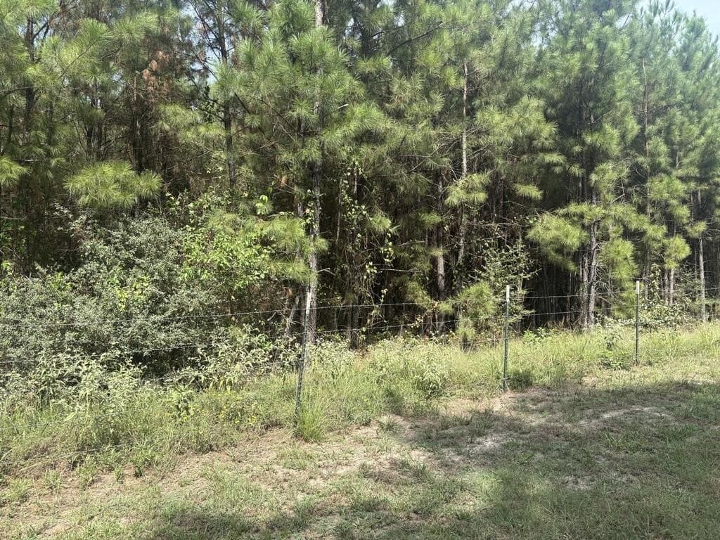 12.68 acres in Texas County - photo 3