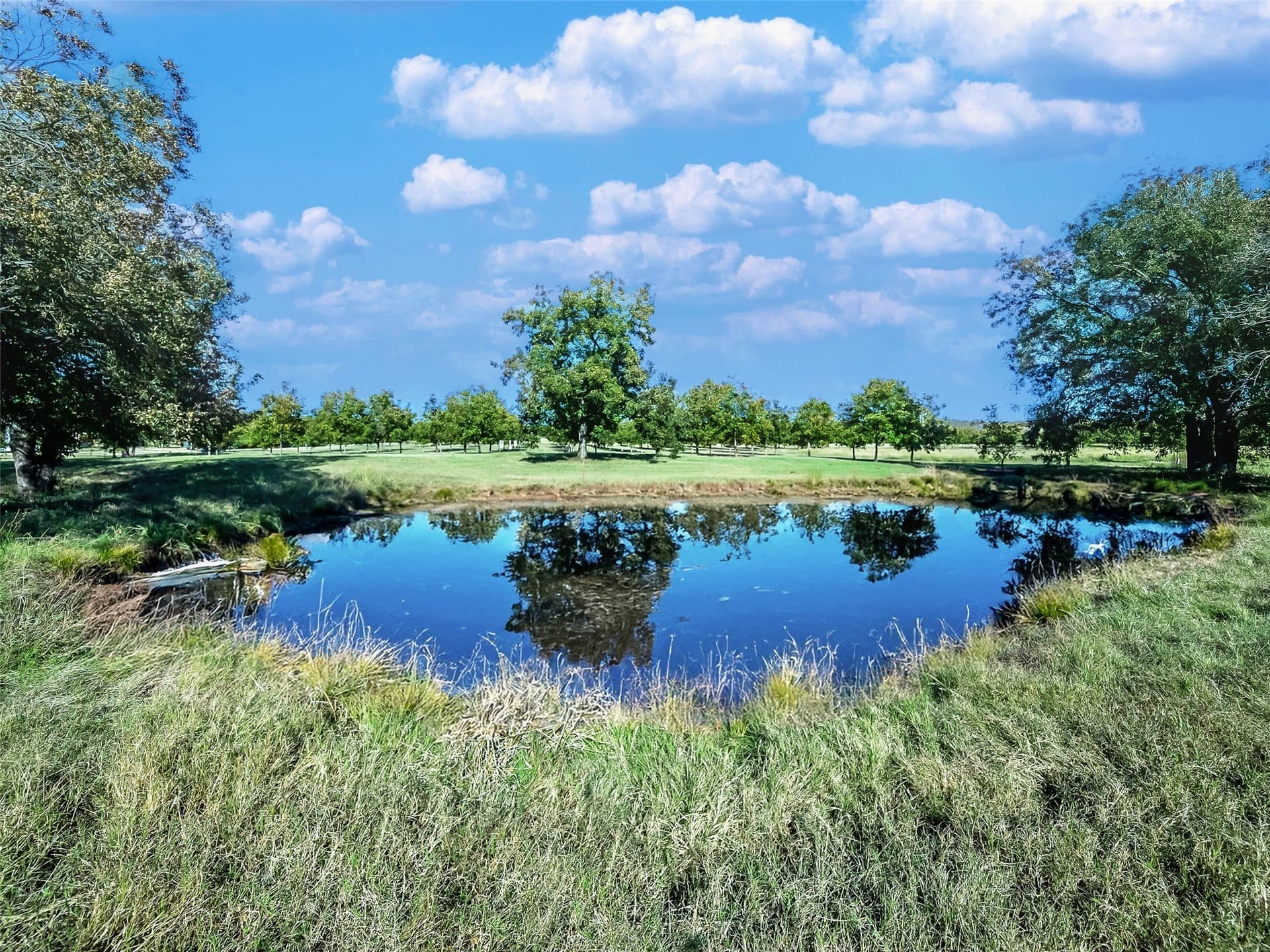284.25 acres in Montague County - photo 13