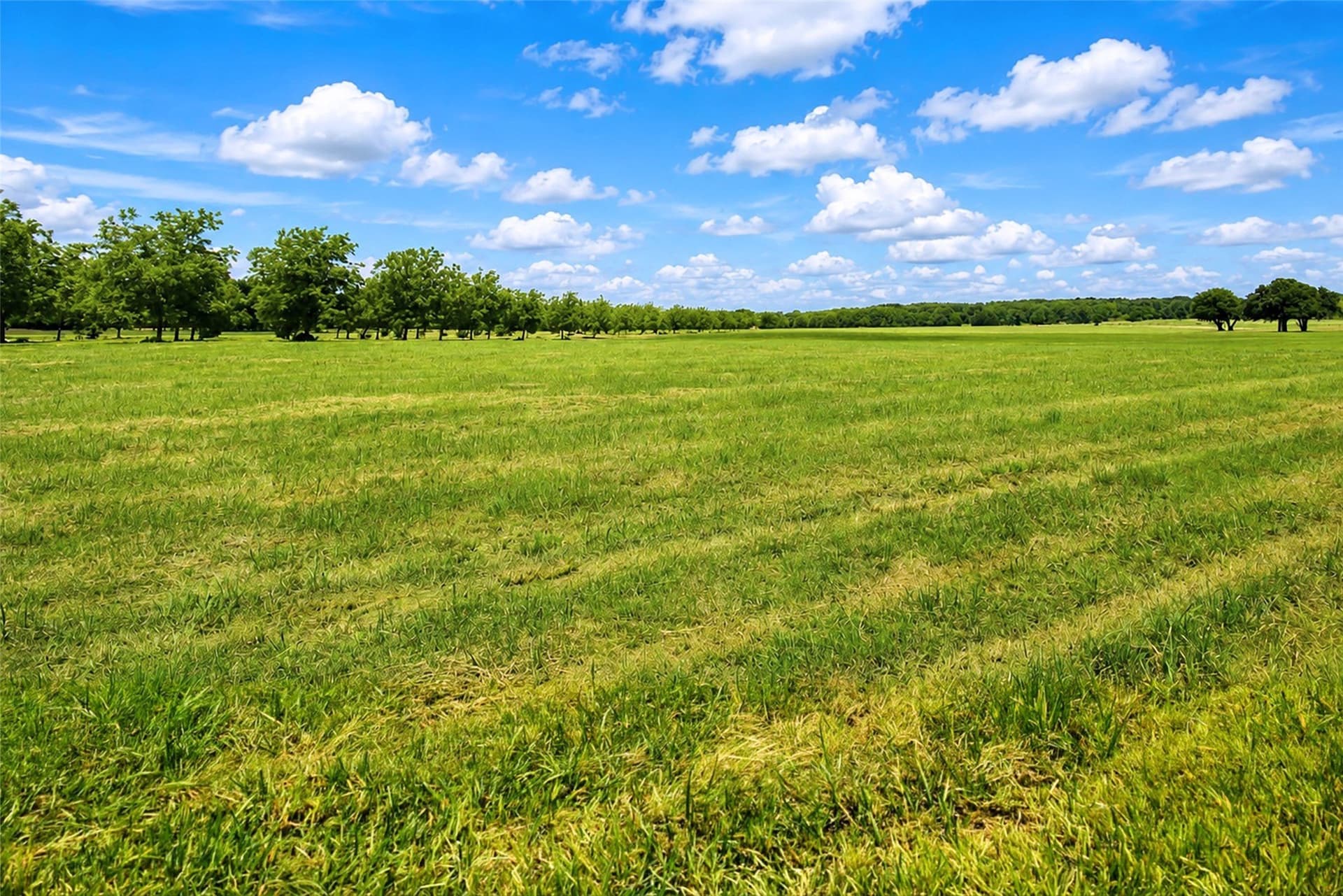 284.25 acres in Montague County - photo 24