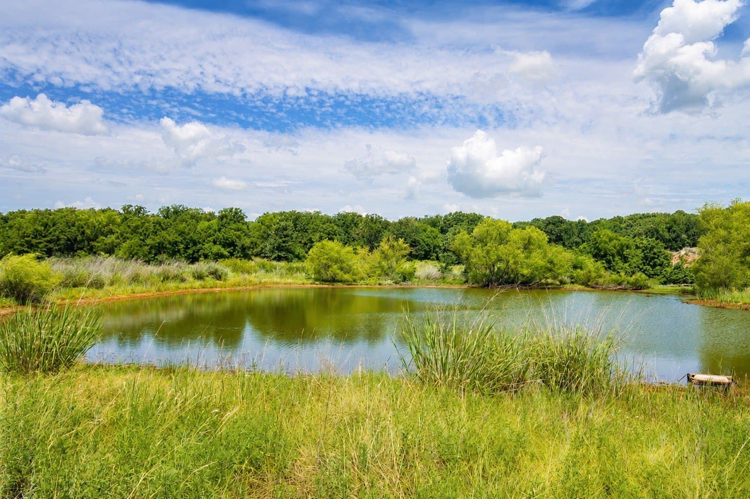 284.25 acres in Montague County - photo 14