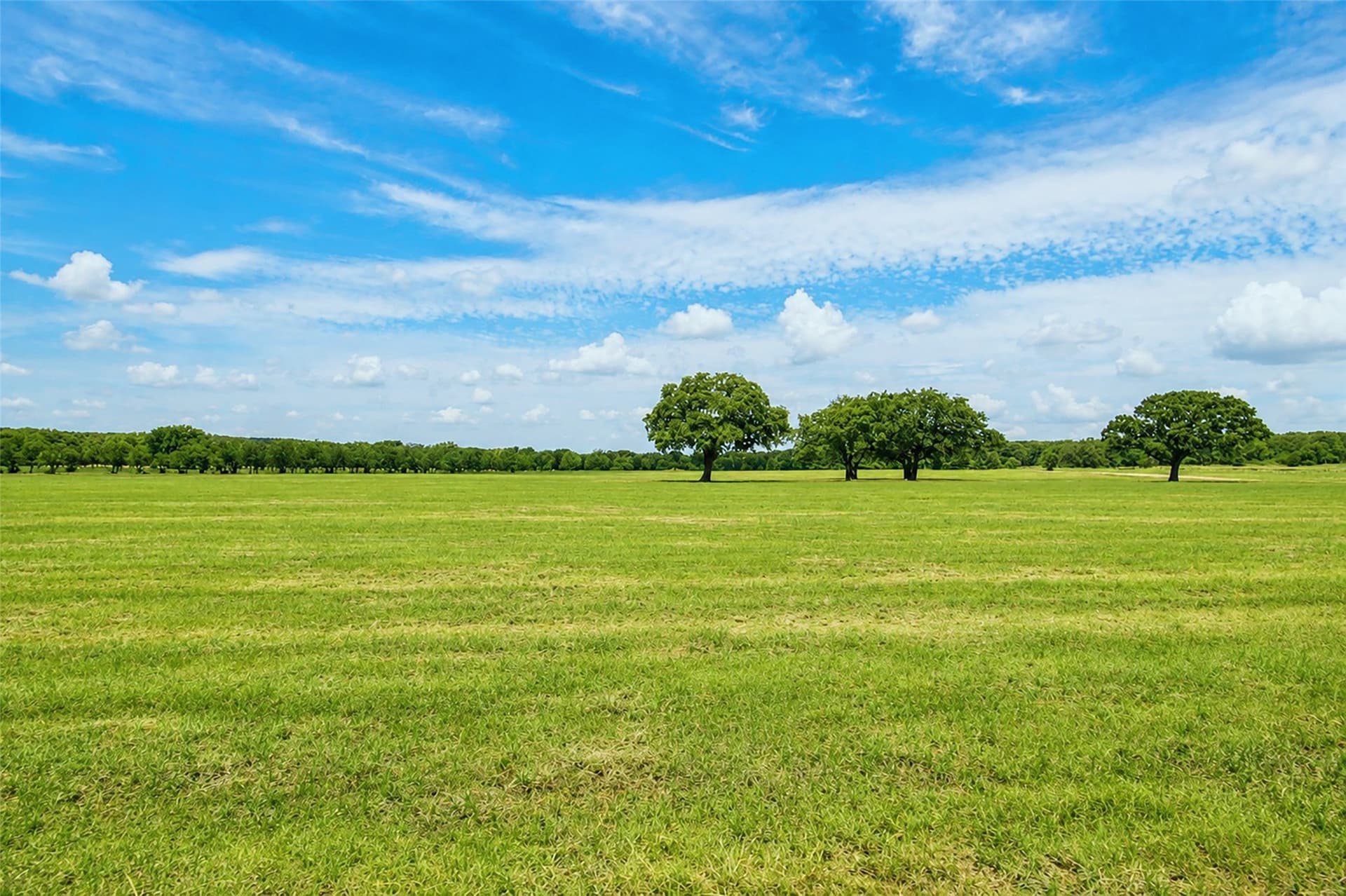 284.25 acres in Montague County - photo 25