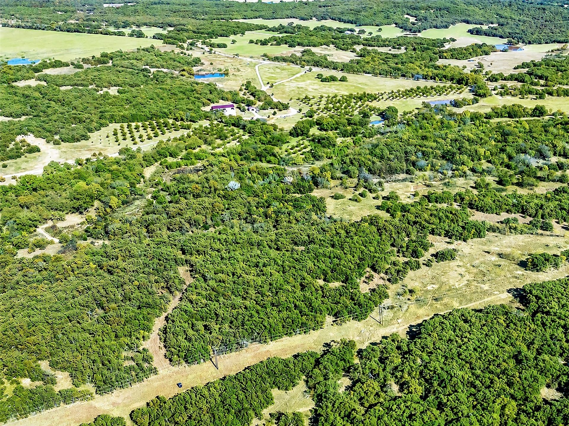 284.25 acres in Montague County gallery image 3