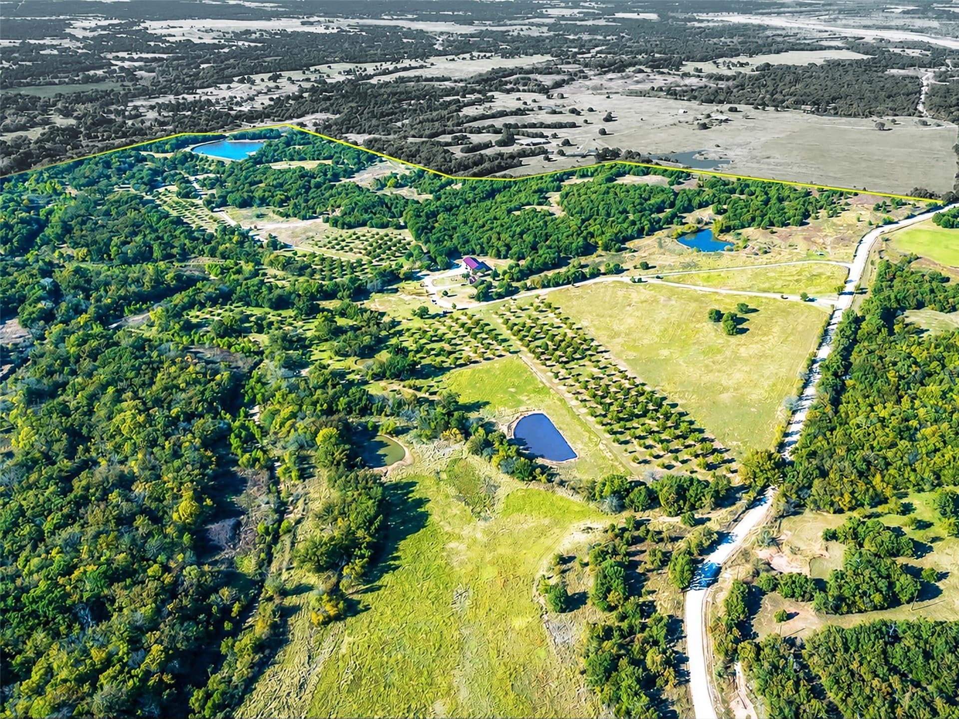 284.25 acres in Montague County gallery image 4