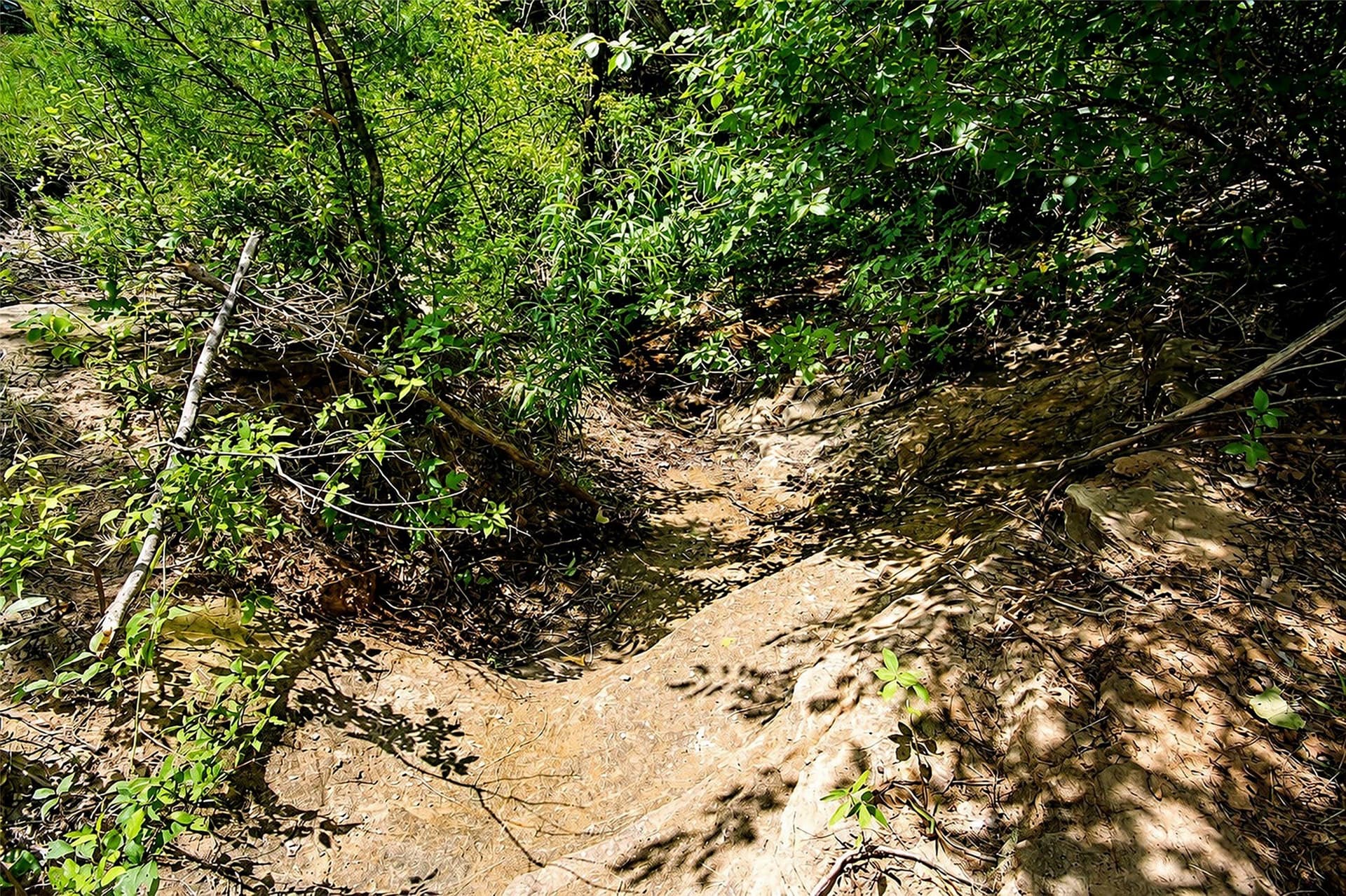 284.25 acres in Montague County - photo 16