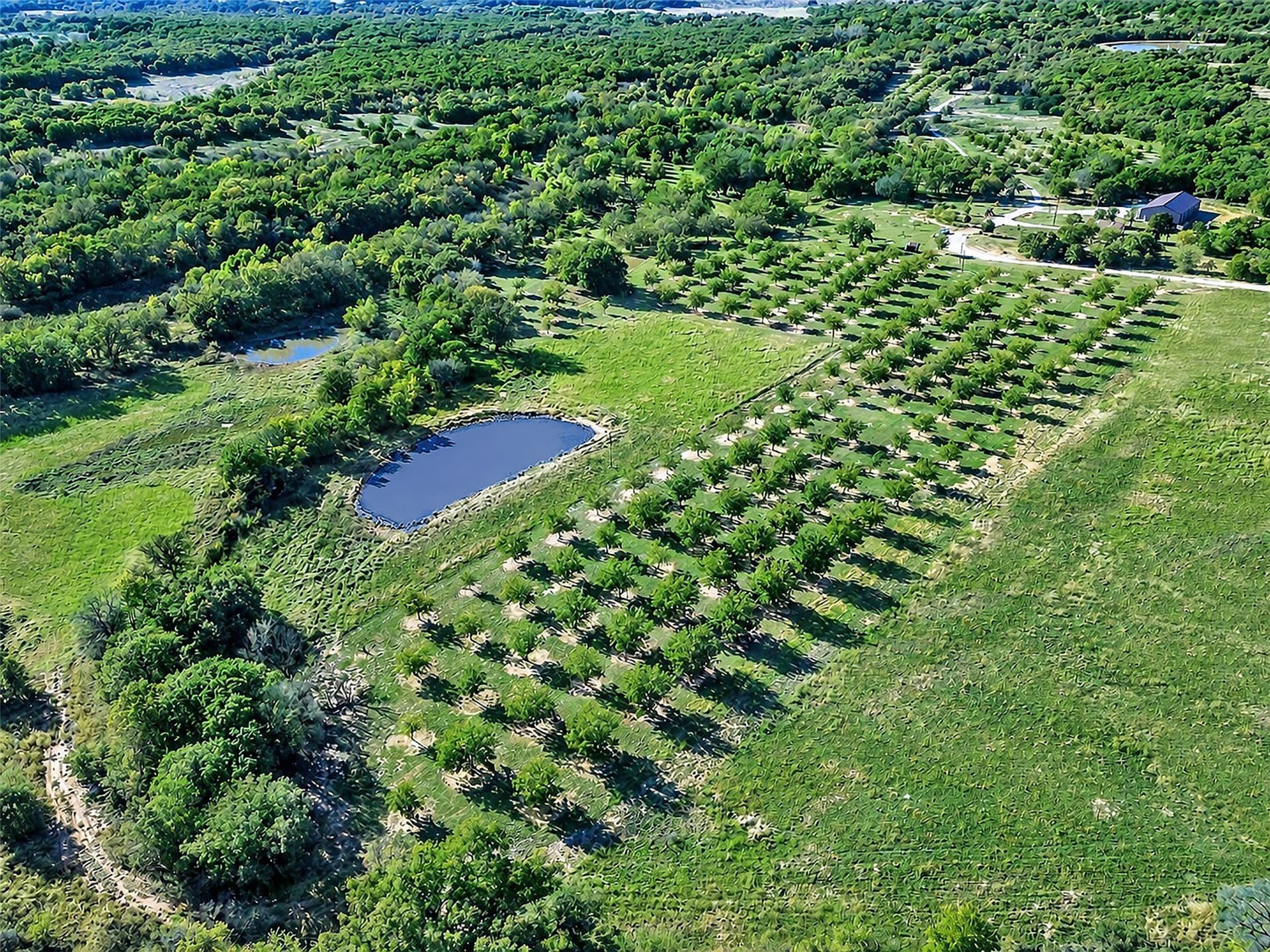 284.25 acres in Montague County - photo 7