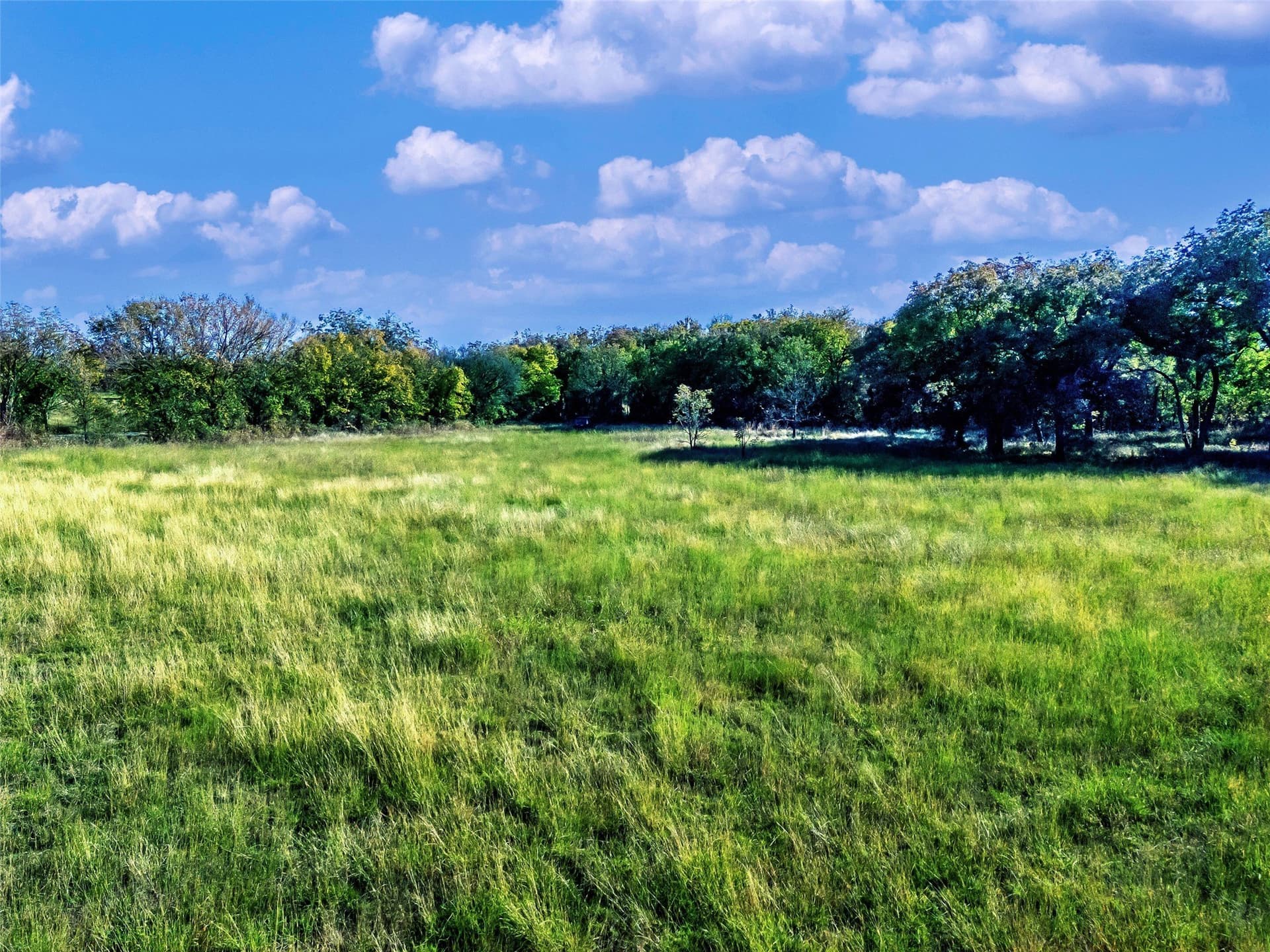 284.25 acres in Montague County - photo 20