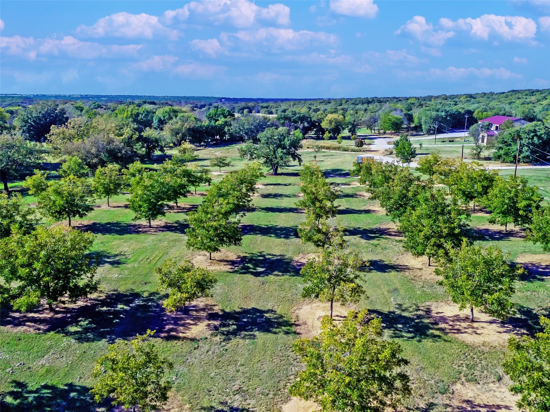 284.25 acres in Montague County - photo 18