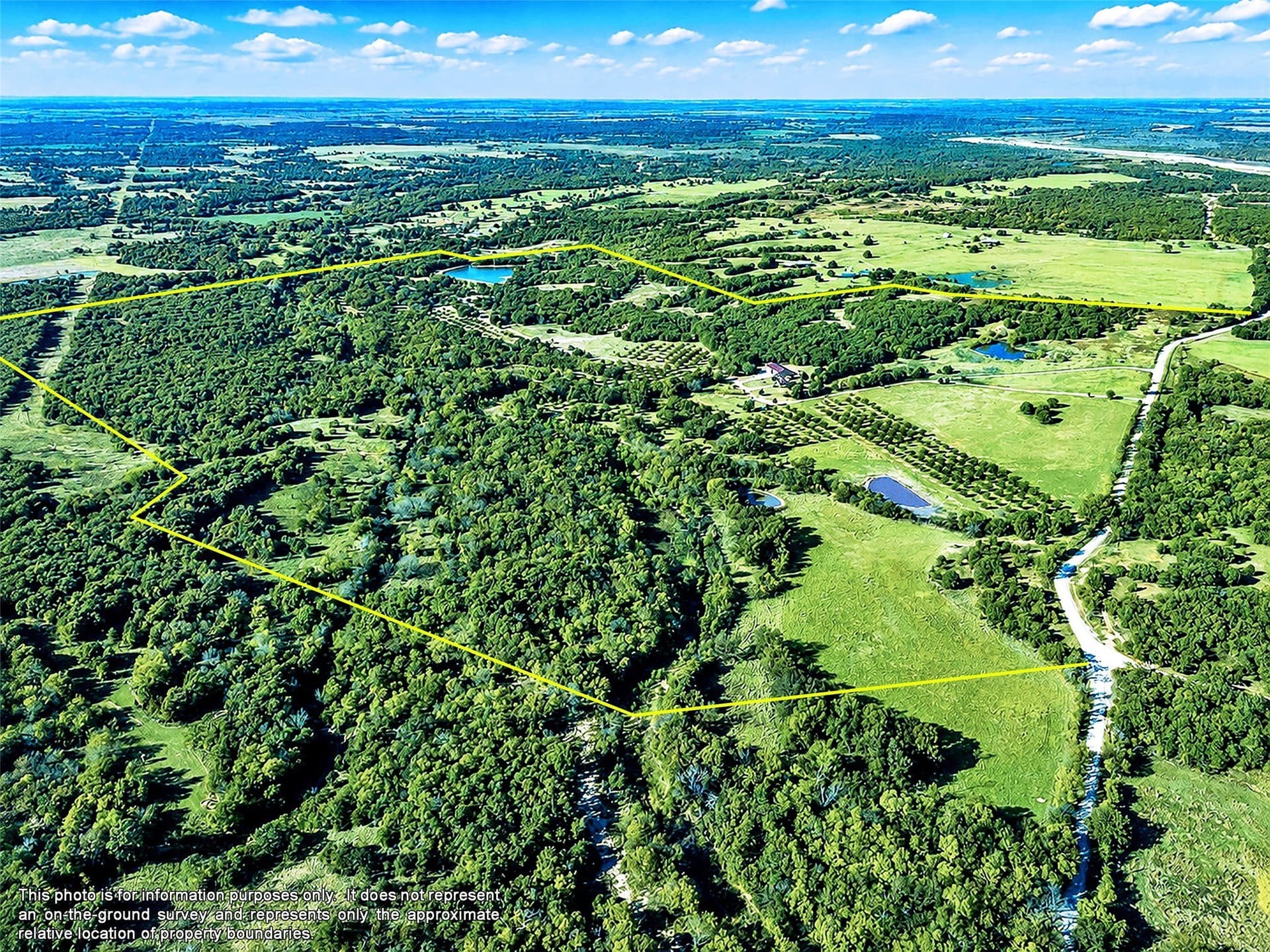284.25 acres in Montague County gallery image 2