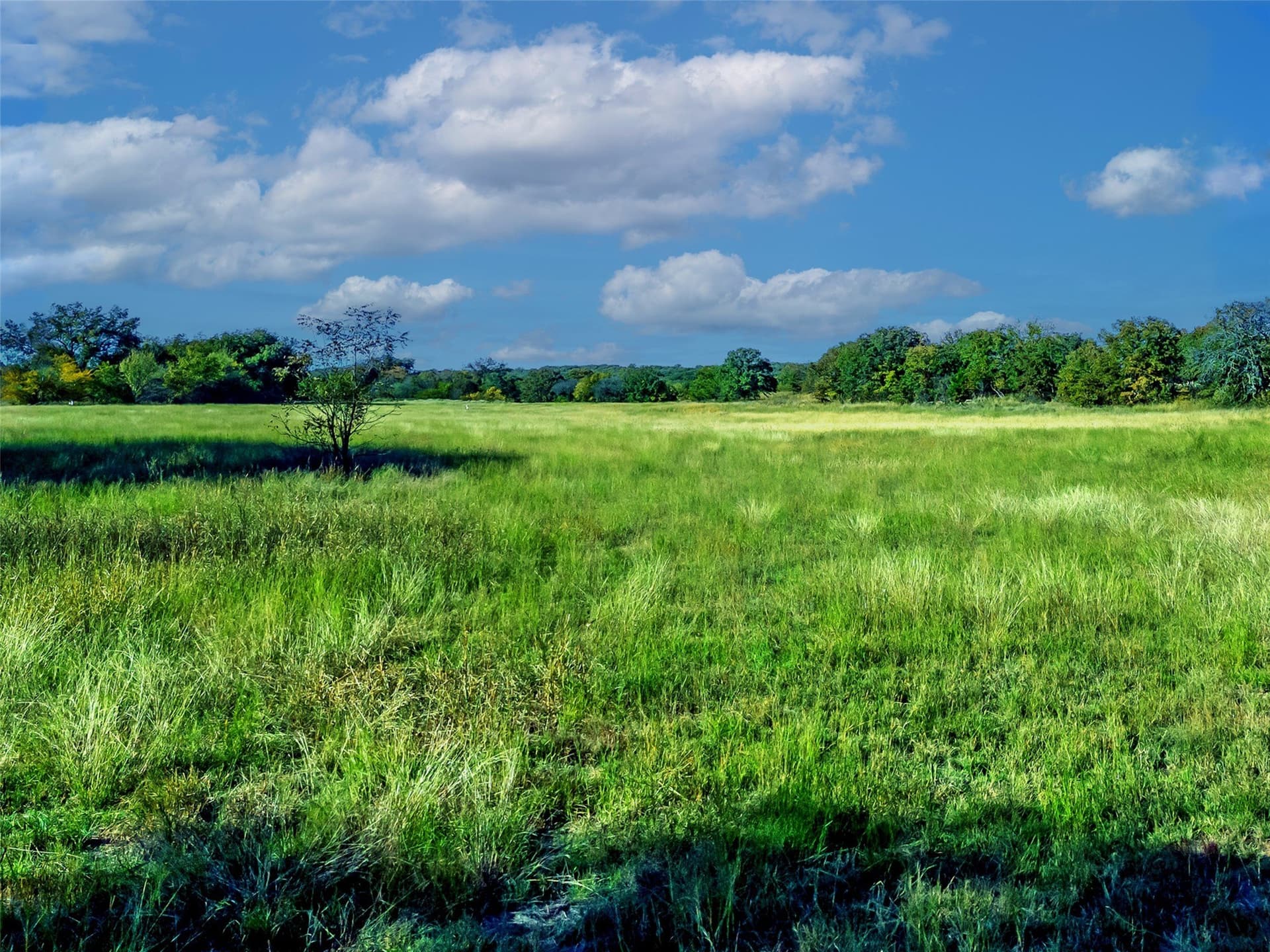 284.25 acres in Montague County - photo 21