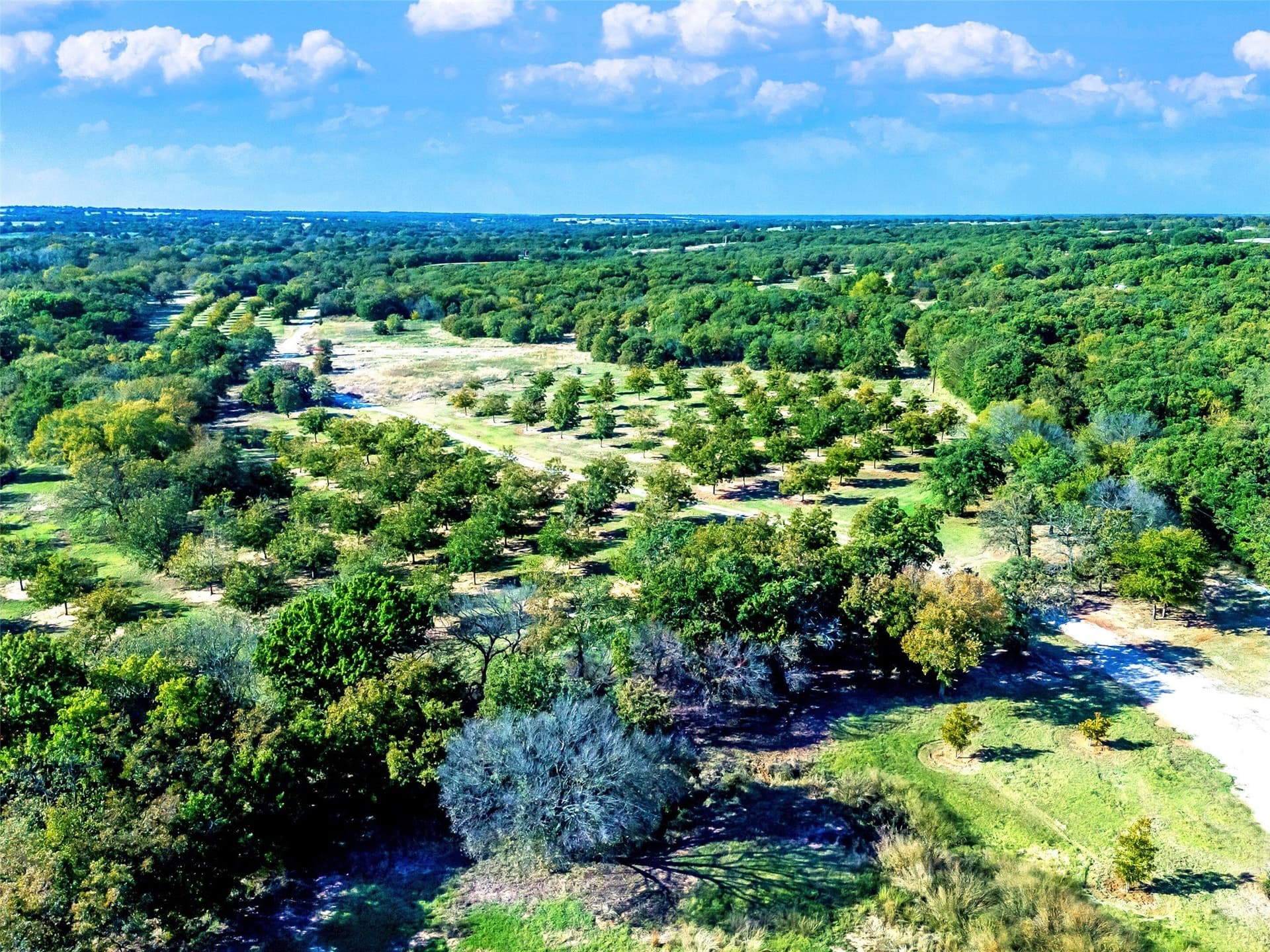 284.25 acres in Montague County featured view