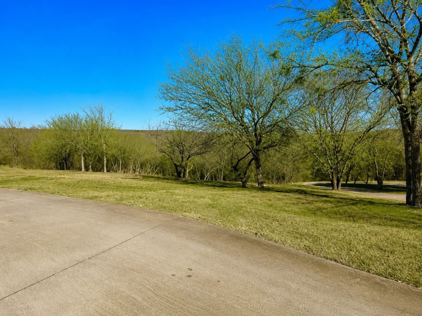 2.09 acres in Dallas County - photo 8