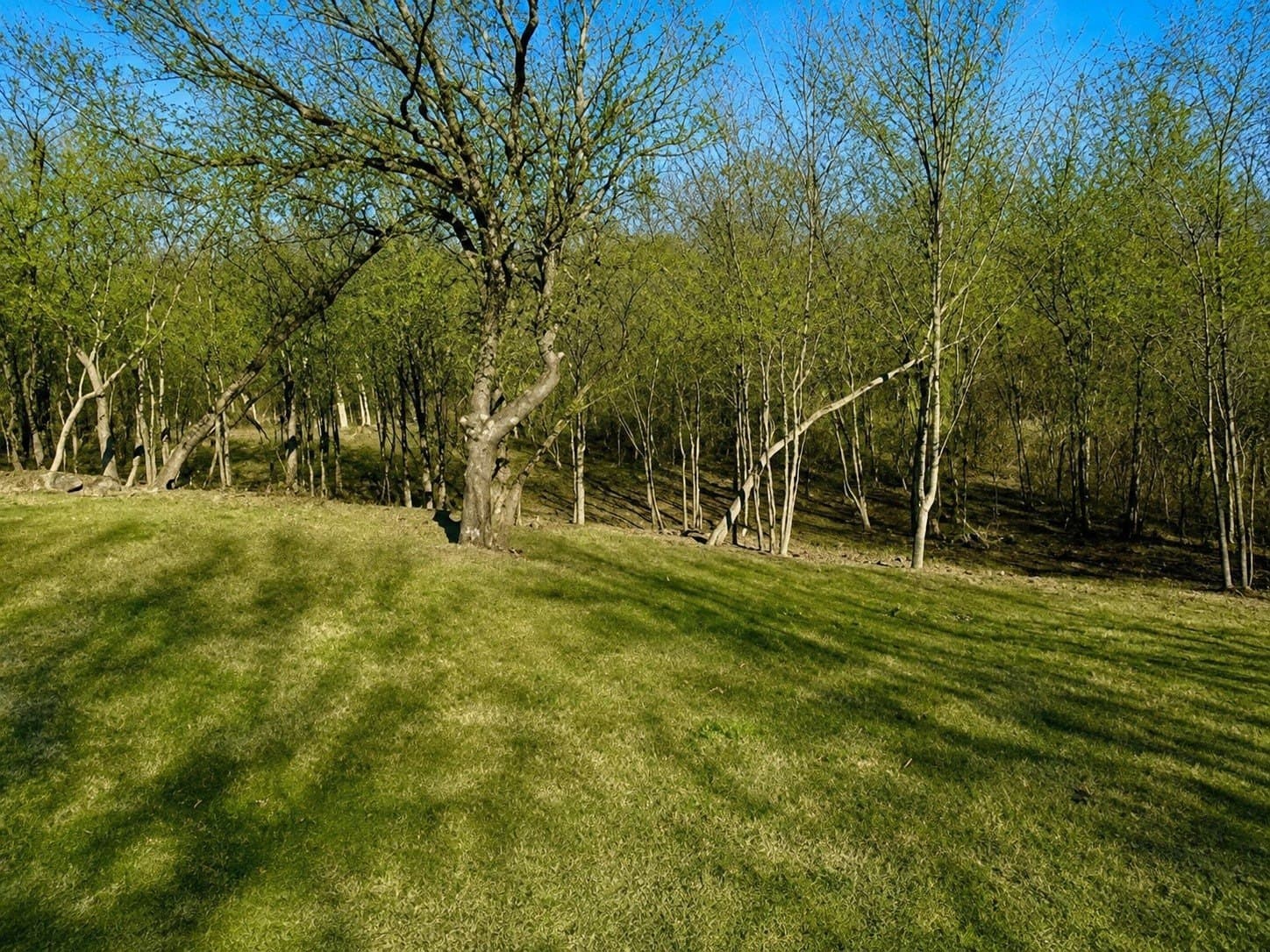 2.09 acres in Dallas County - photo 6