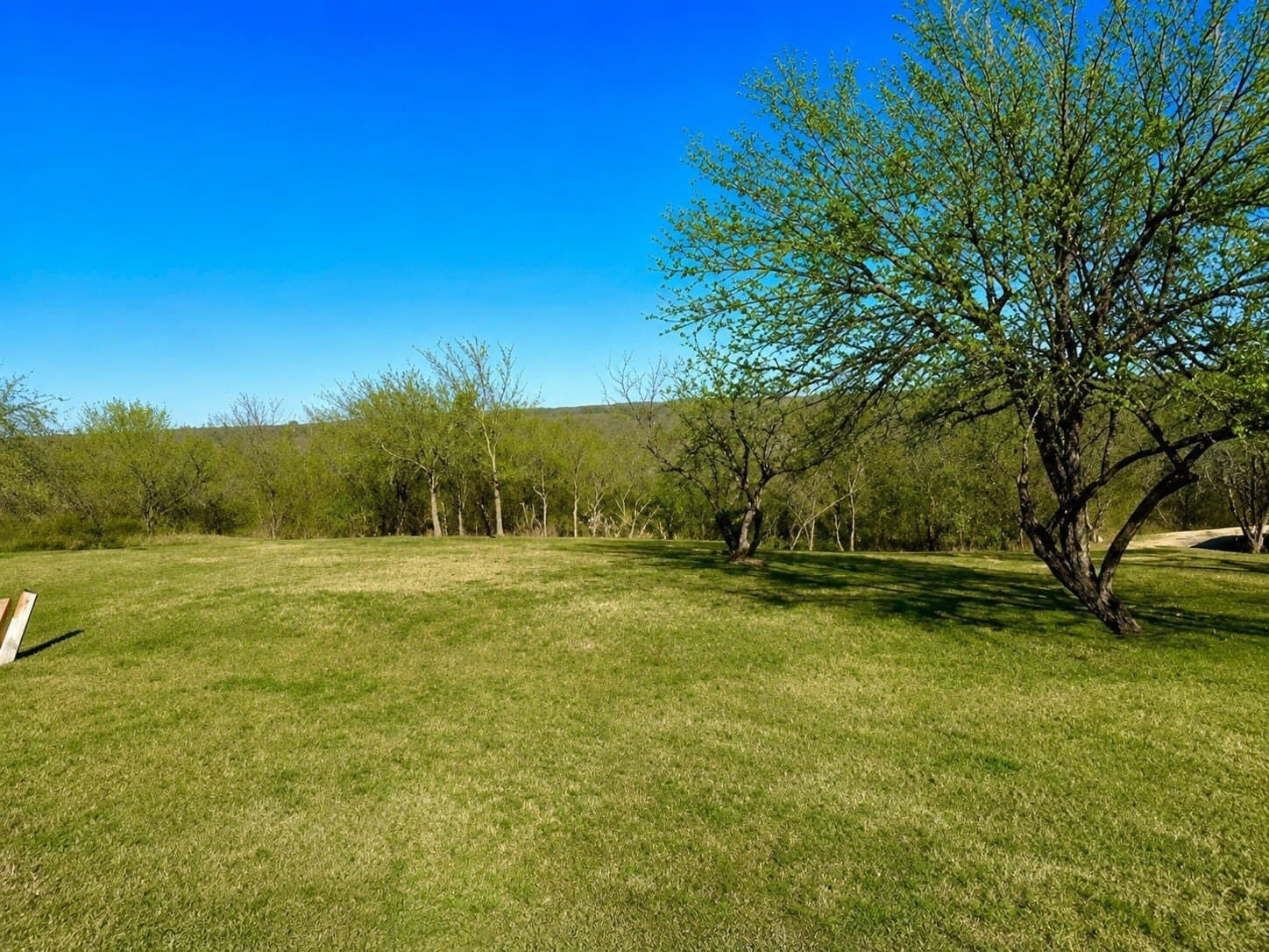 2.09 acres in Dallas County - photo 5