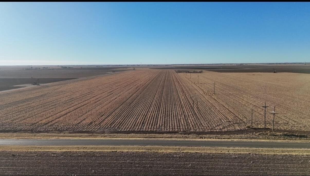 10 acres in Lubbock County - photo 3
