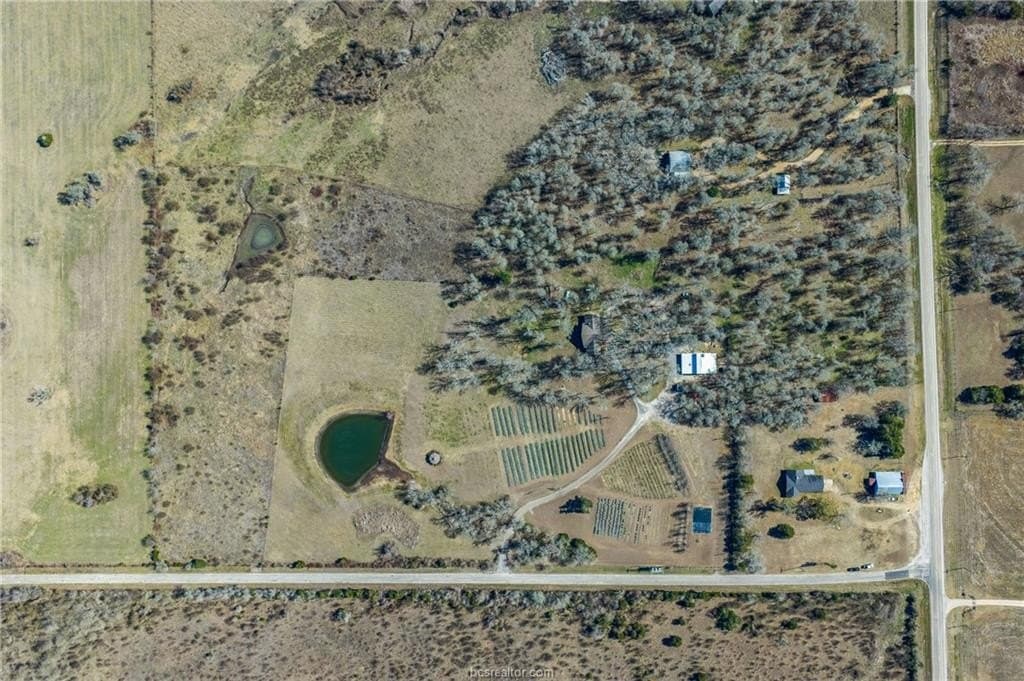 21 acres in Washington County gallery image 4