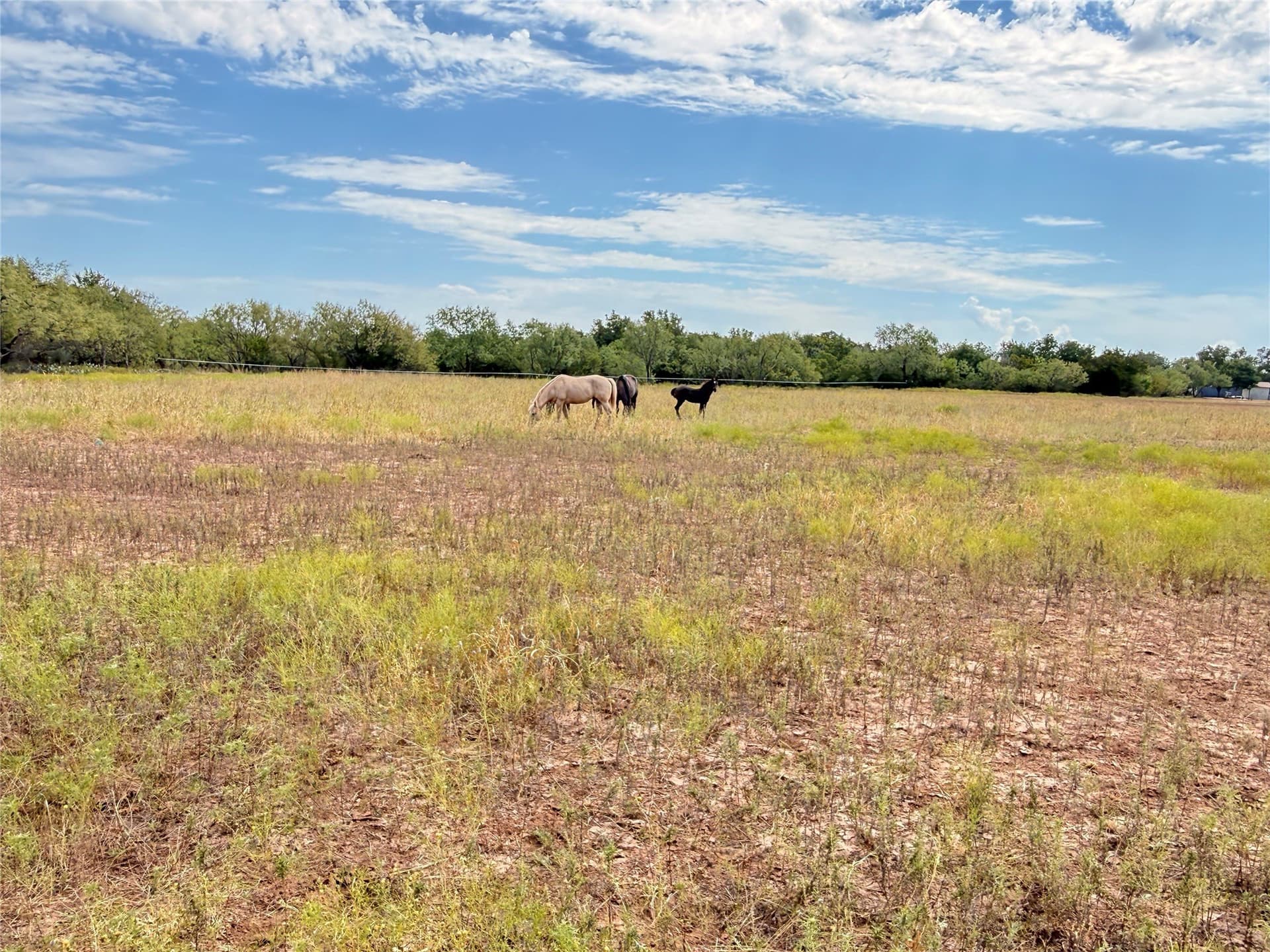 59.97 acres in Runnels County - photo 35