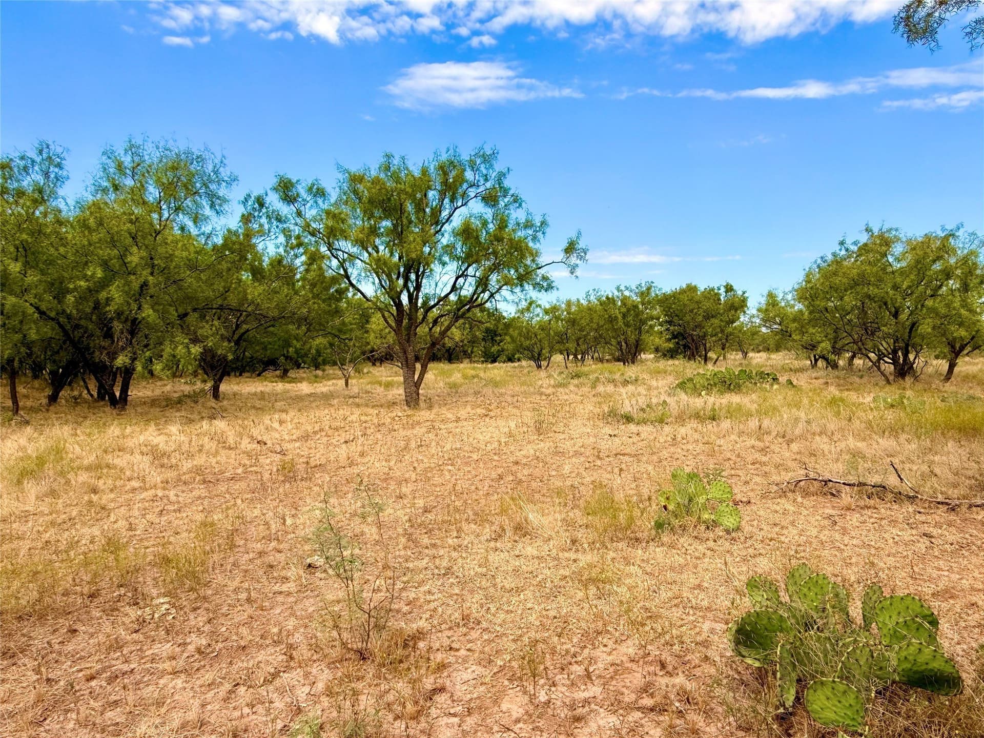 59.97 acres in Runnels County - photo 33