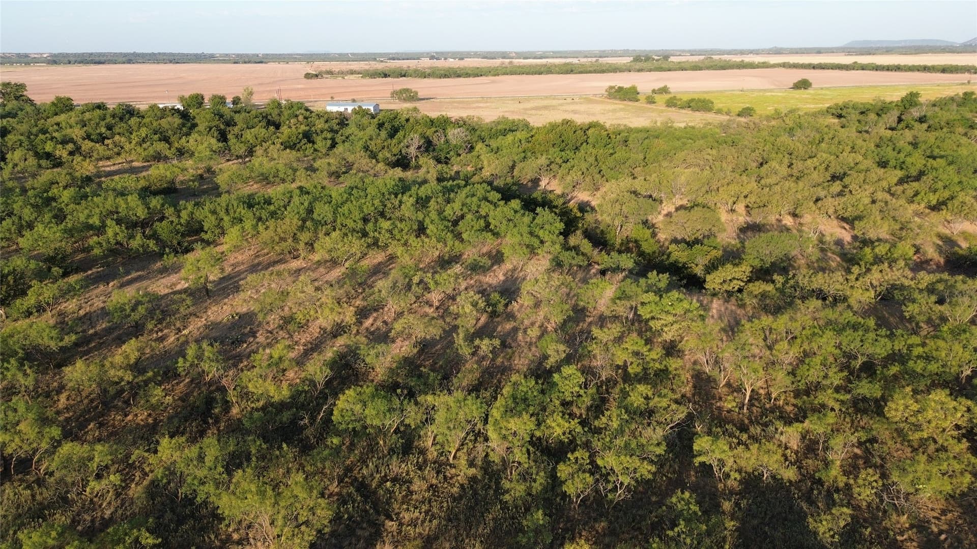 59.97 acres in Runnels County - photo 2