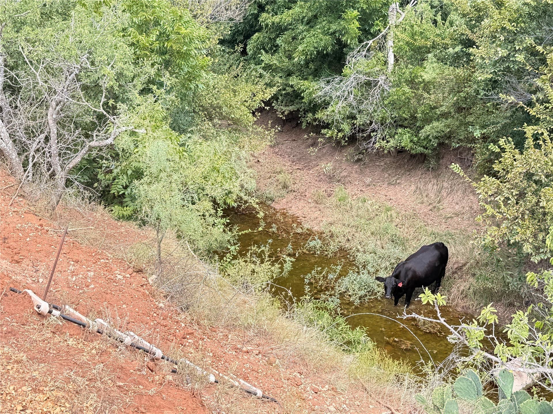 59.97 acres in Runnels County - photo 10