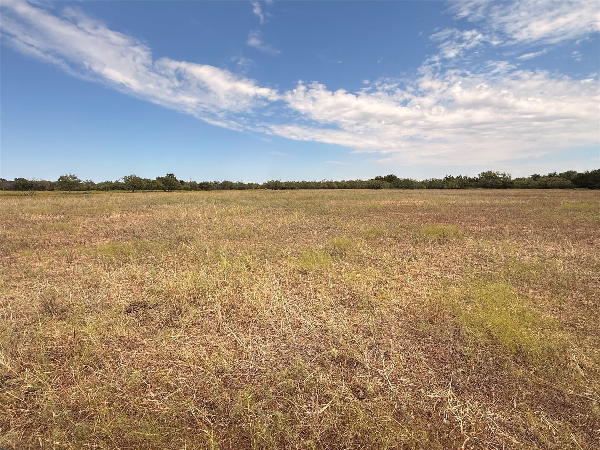 59.97 acres in Runnels County - photo 31