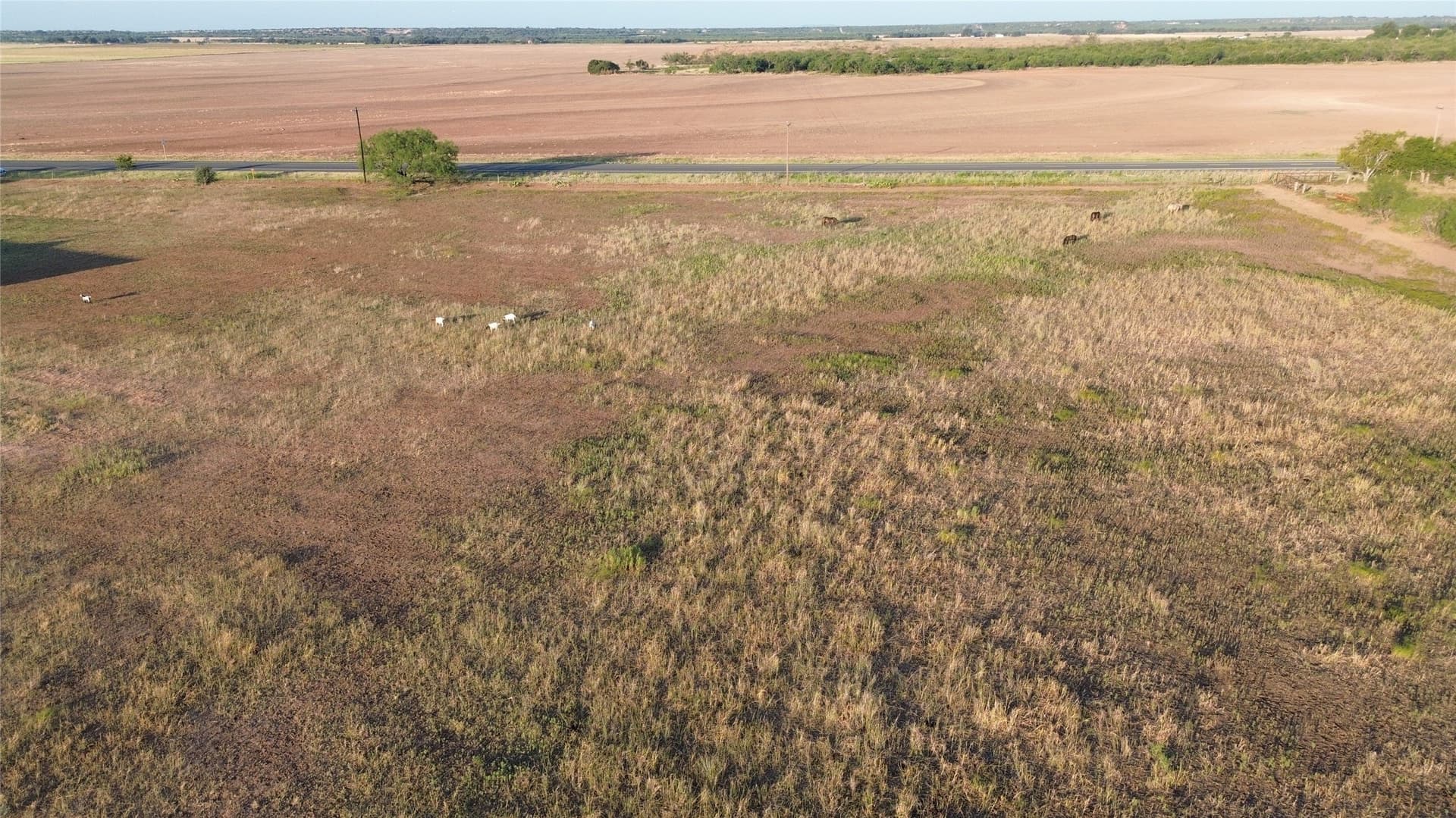 59.97 acres in Runnels County - photo 9