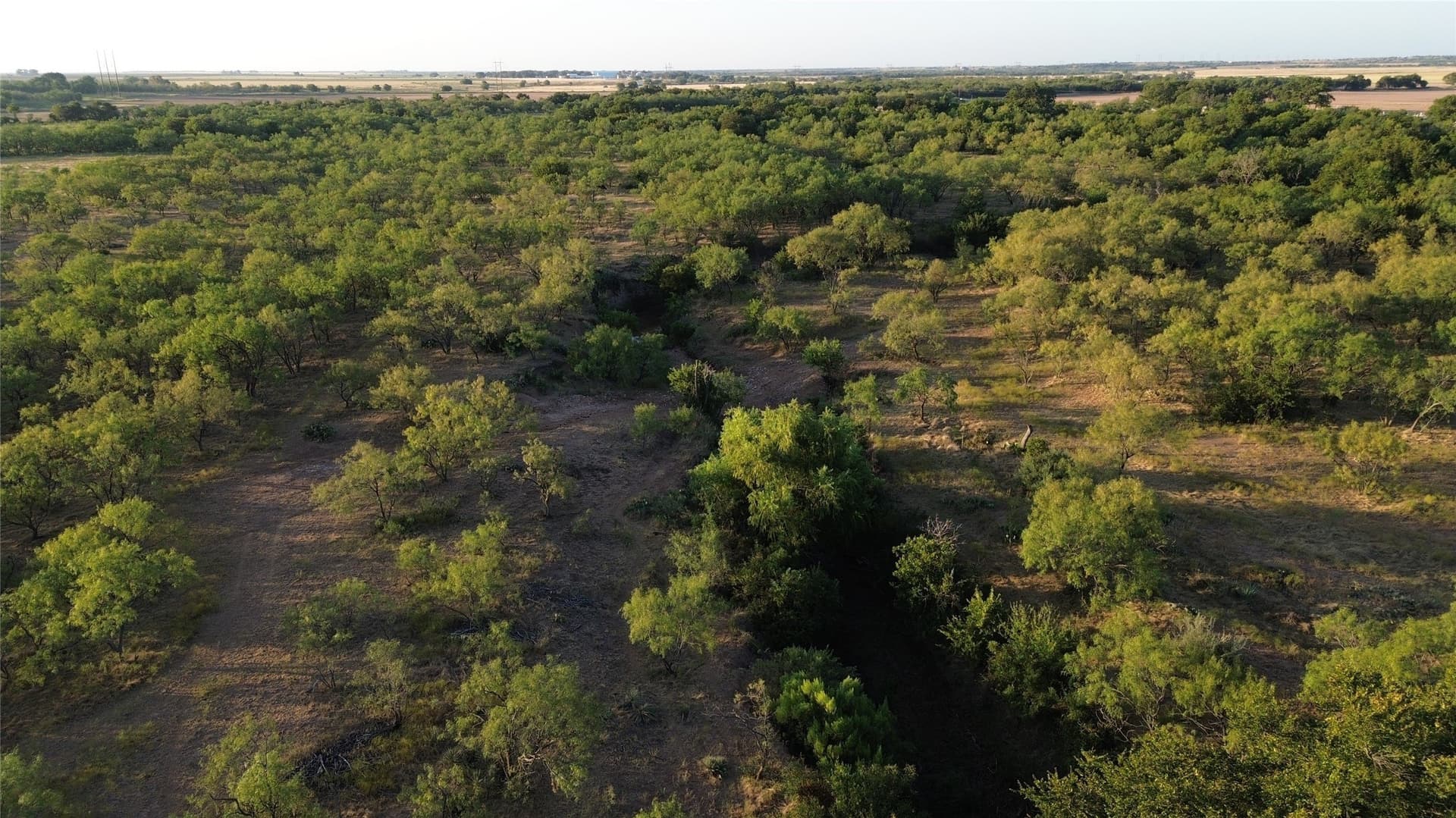 59.97 acres in Runnels County - photo 4