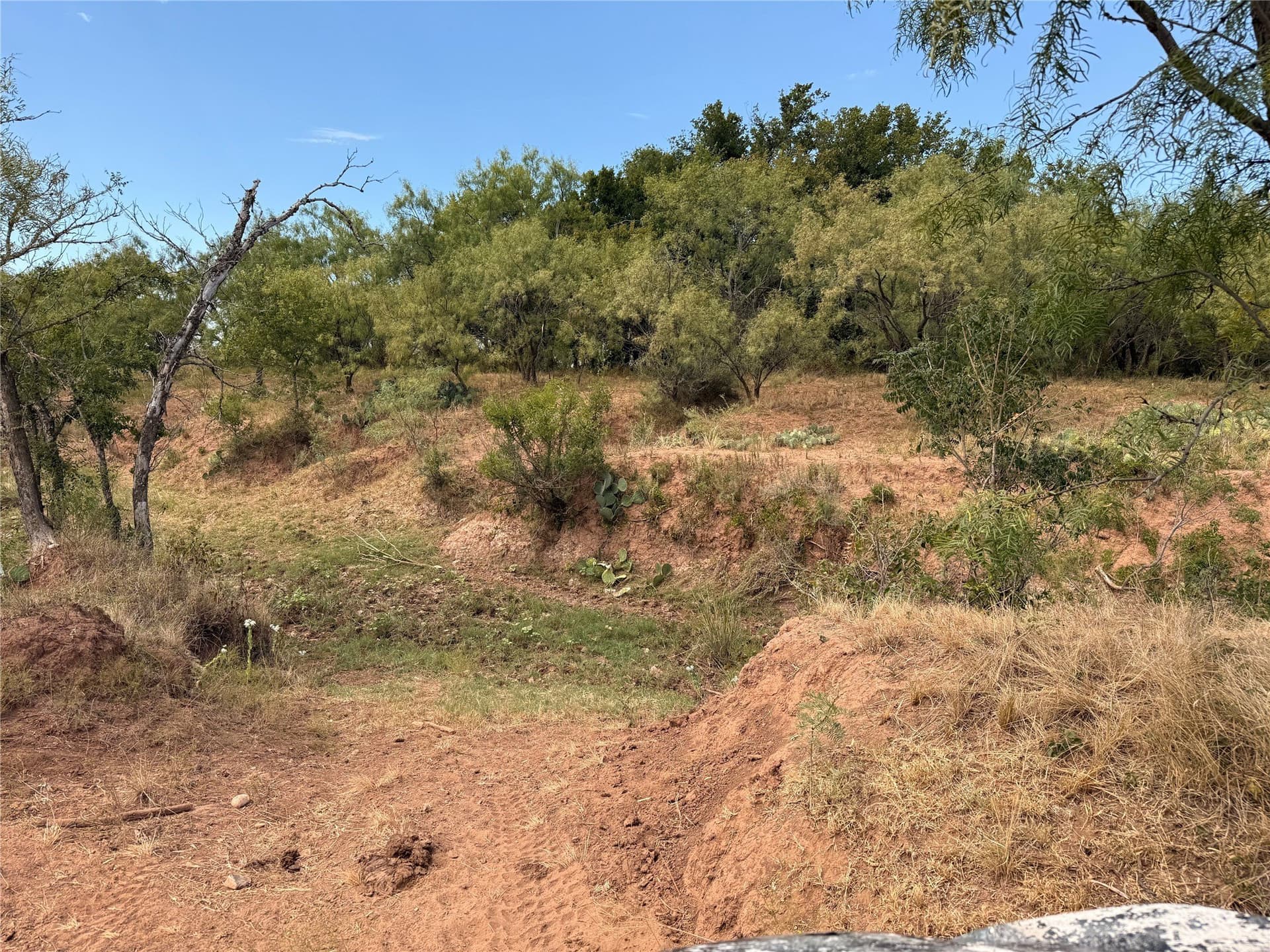 59.97 acres in Runnels County - photo 30