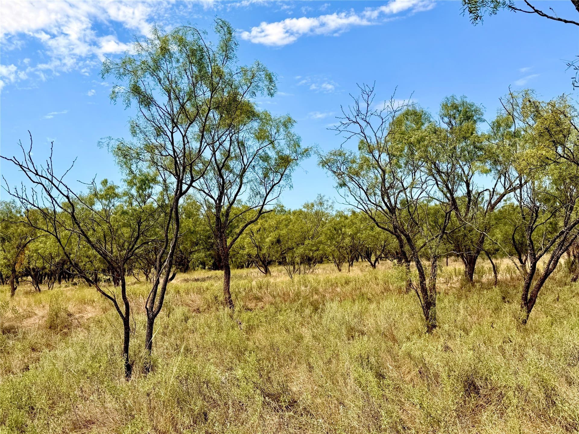 59.97 acres in Runnels County - photo 32