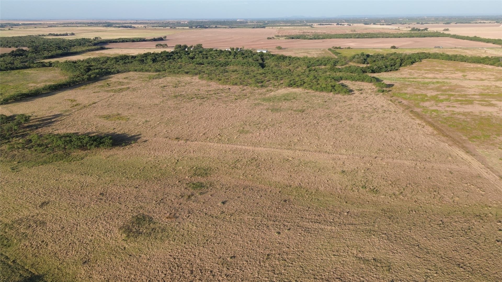 59.97 acres in Runnels County - photo 8