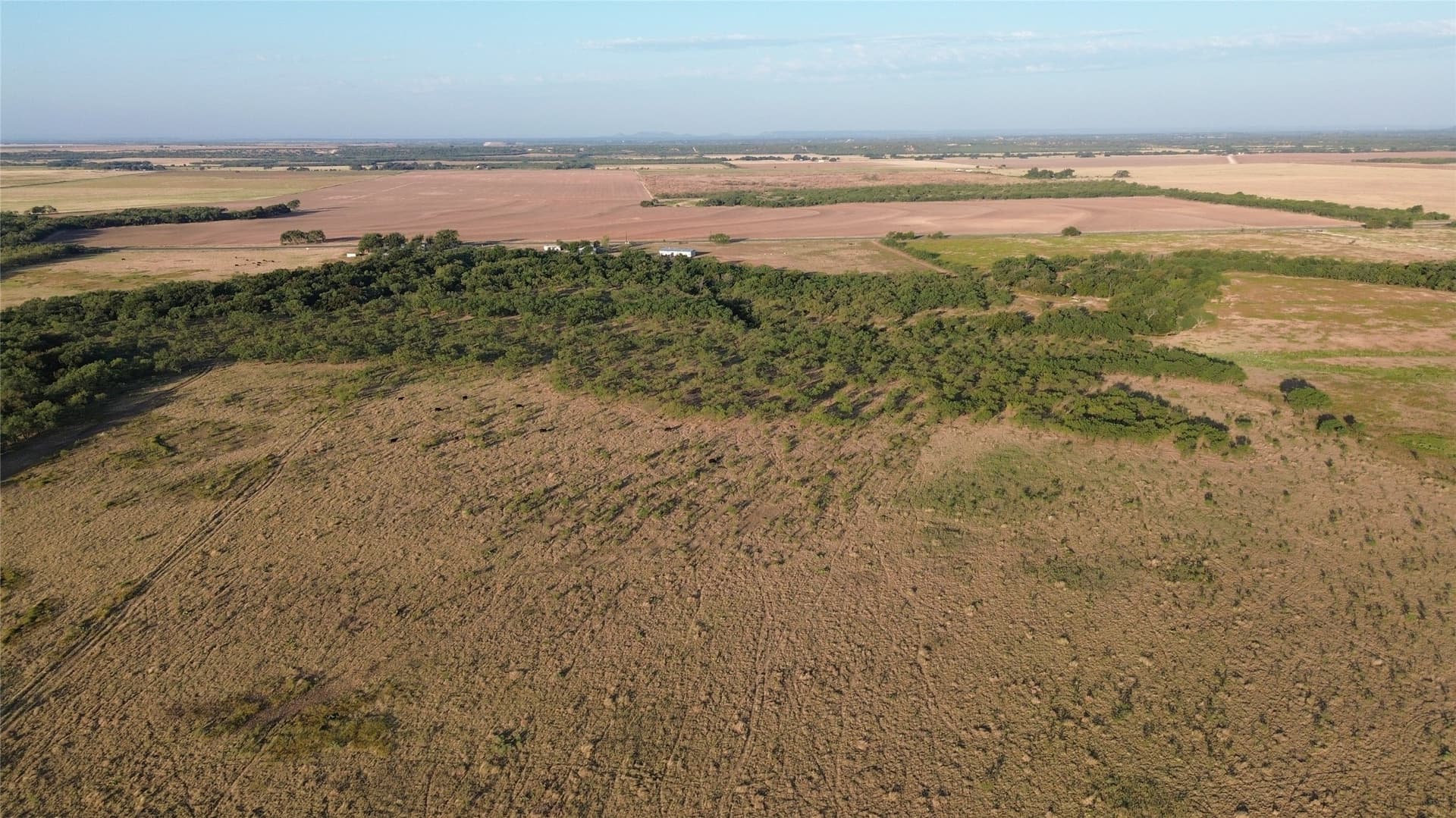 59.97 acres in Runnels County - photo 7
