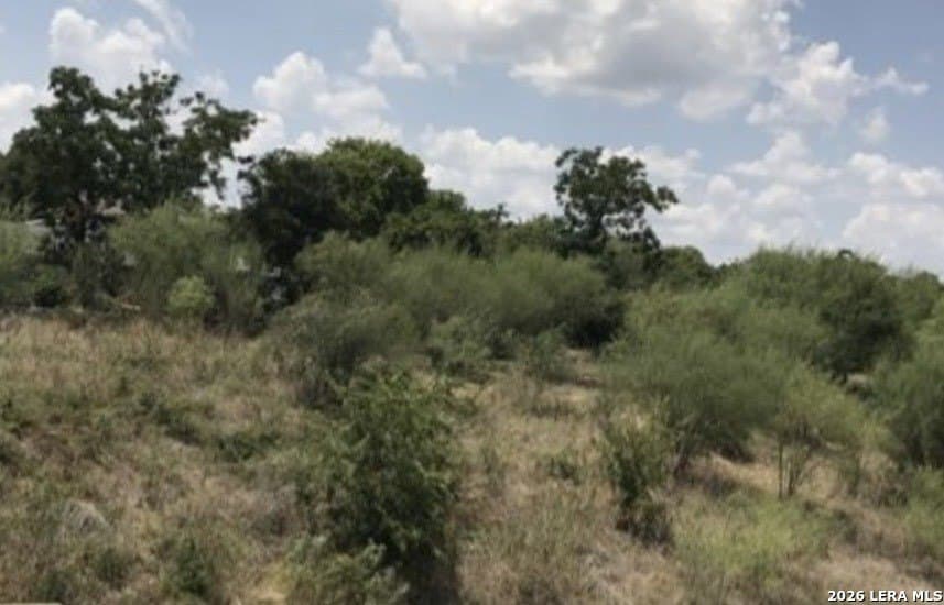 1.15 acres in Bexar County gallery image 4