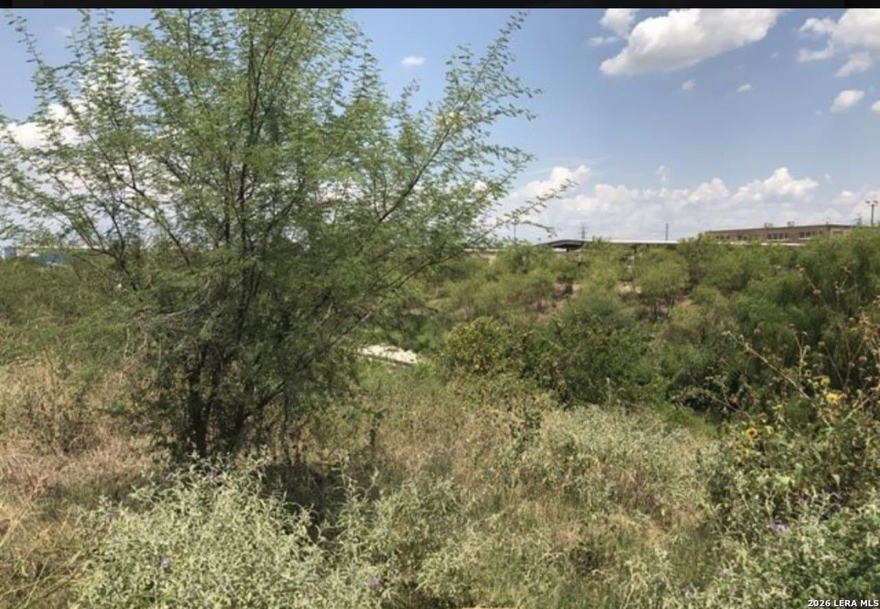 1.15 acres in Bexar County - photo 9