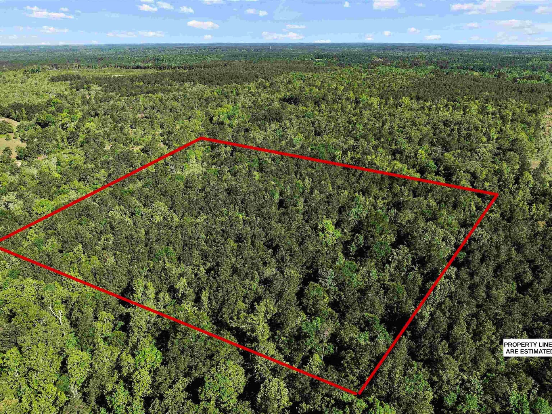 19.94 acres in Marion County - photo 7