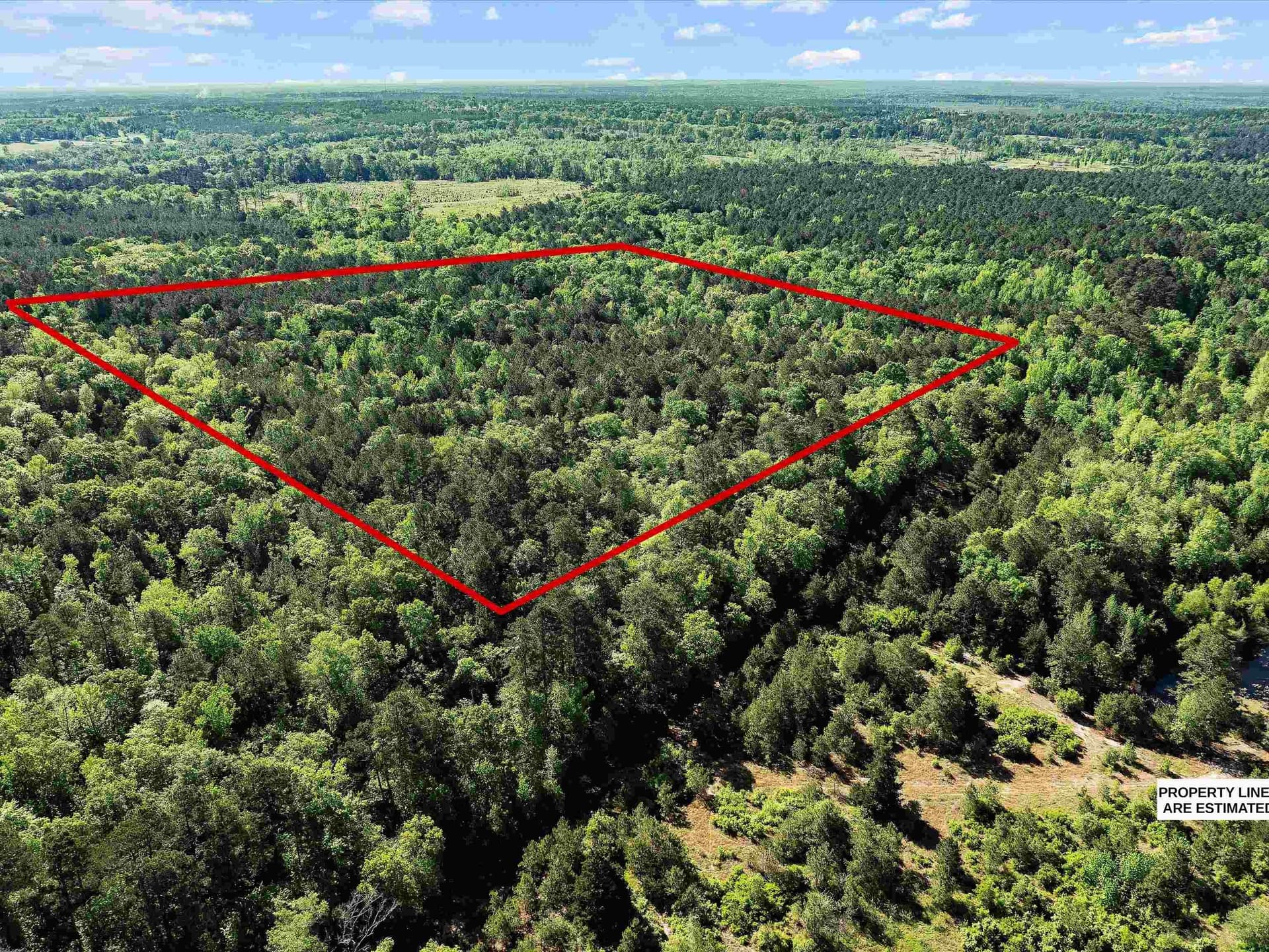 19.94 acres in Marion County gallery image 3