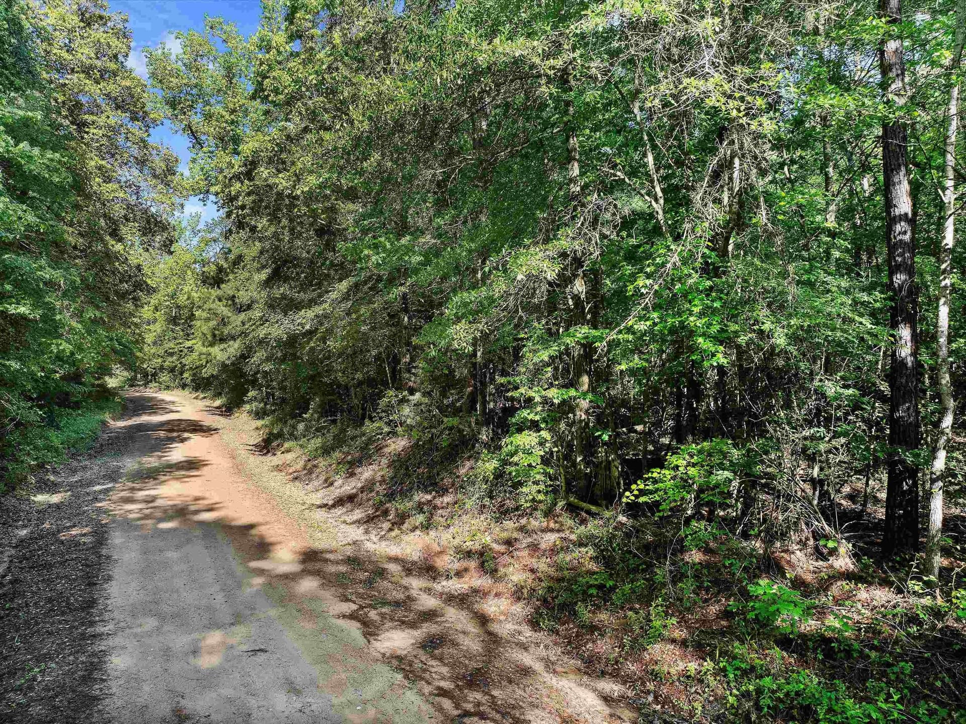 19.94 acres in Marion County - photo 6