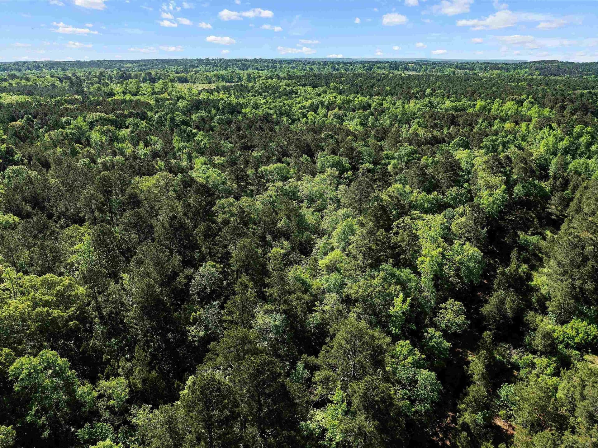 19.94 acres in Marion County - photo 9