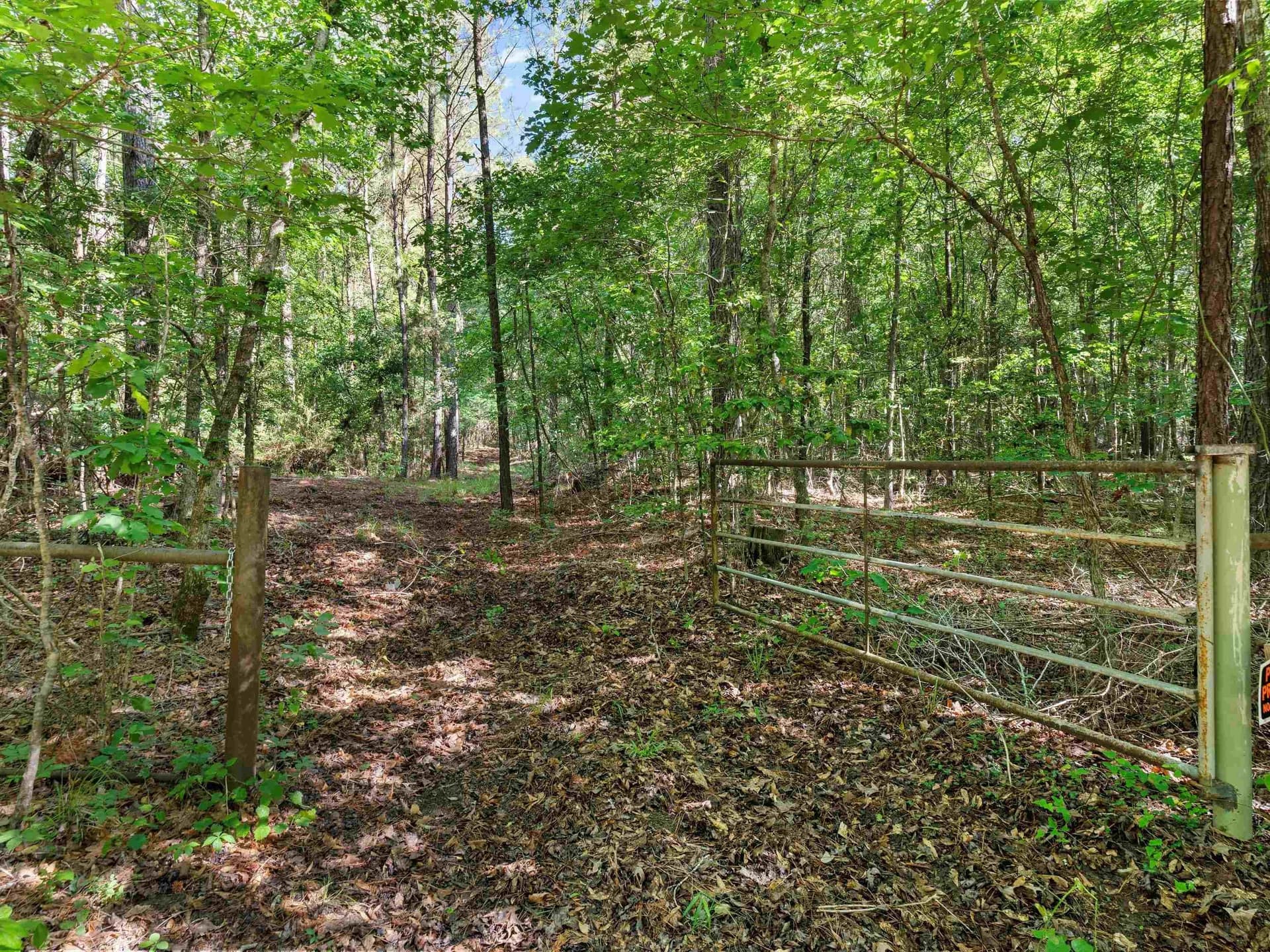 19.94 acres in Marion County gallery image 2