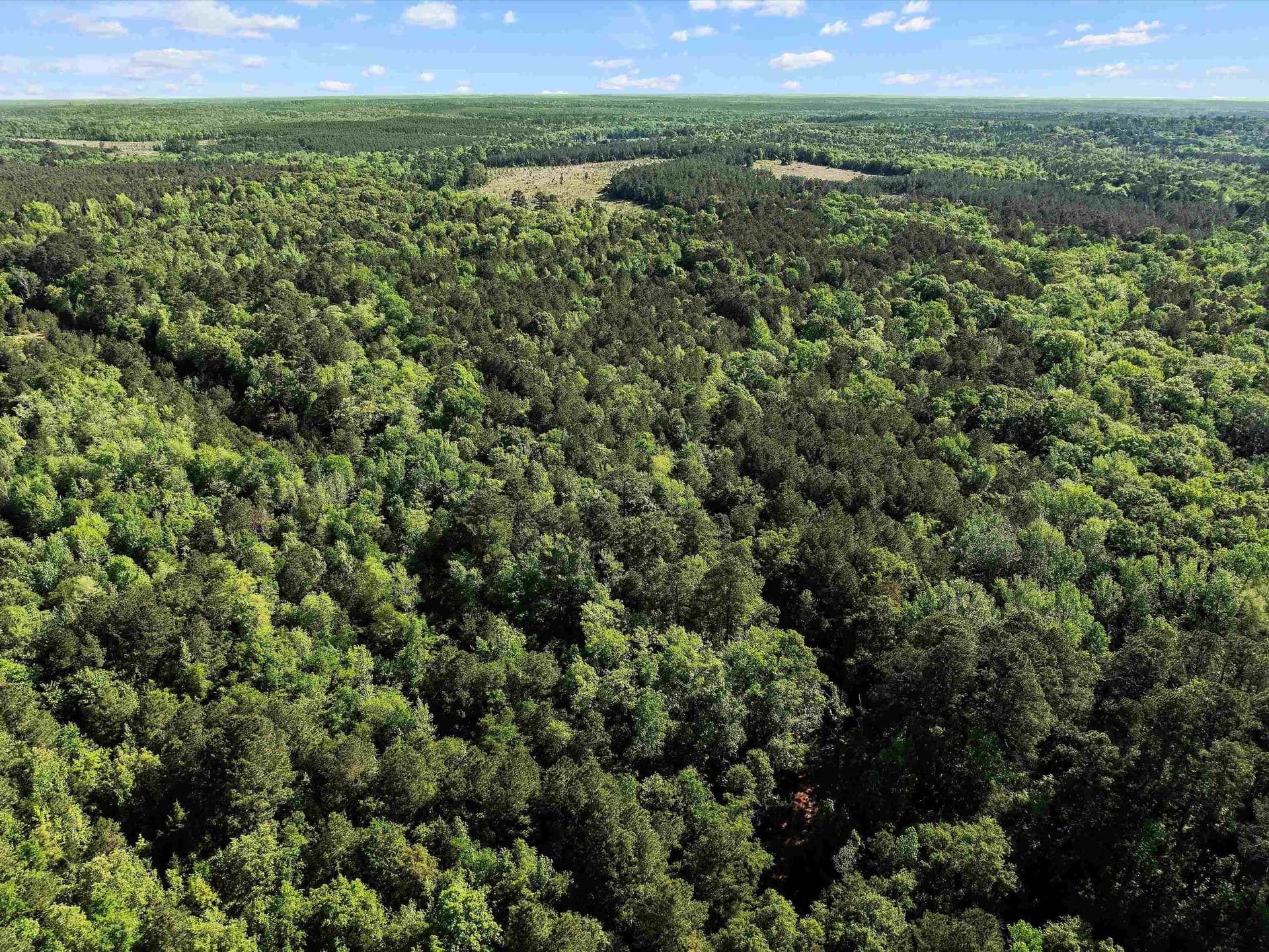 19.94 acres in Marion County - photo 10