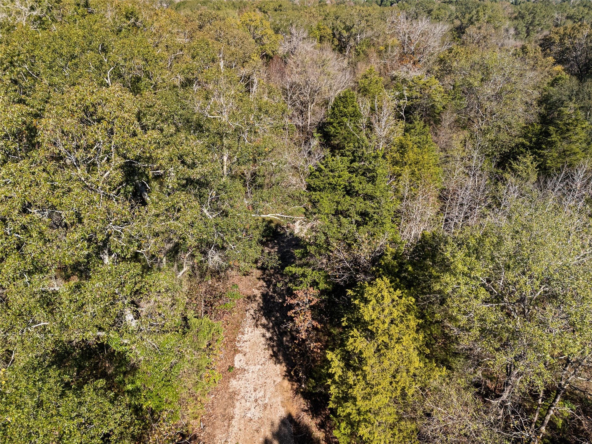 17 acres in Van Zandt County - photo 16