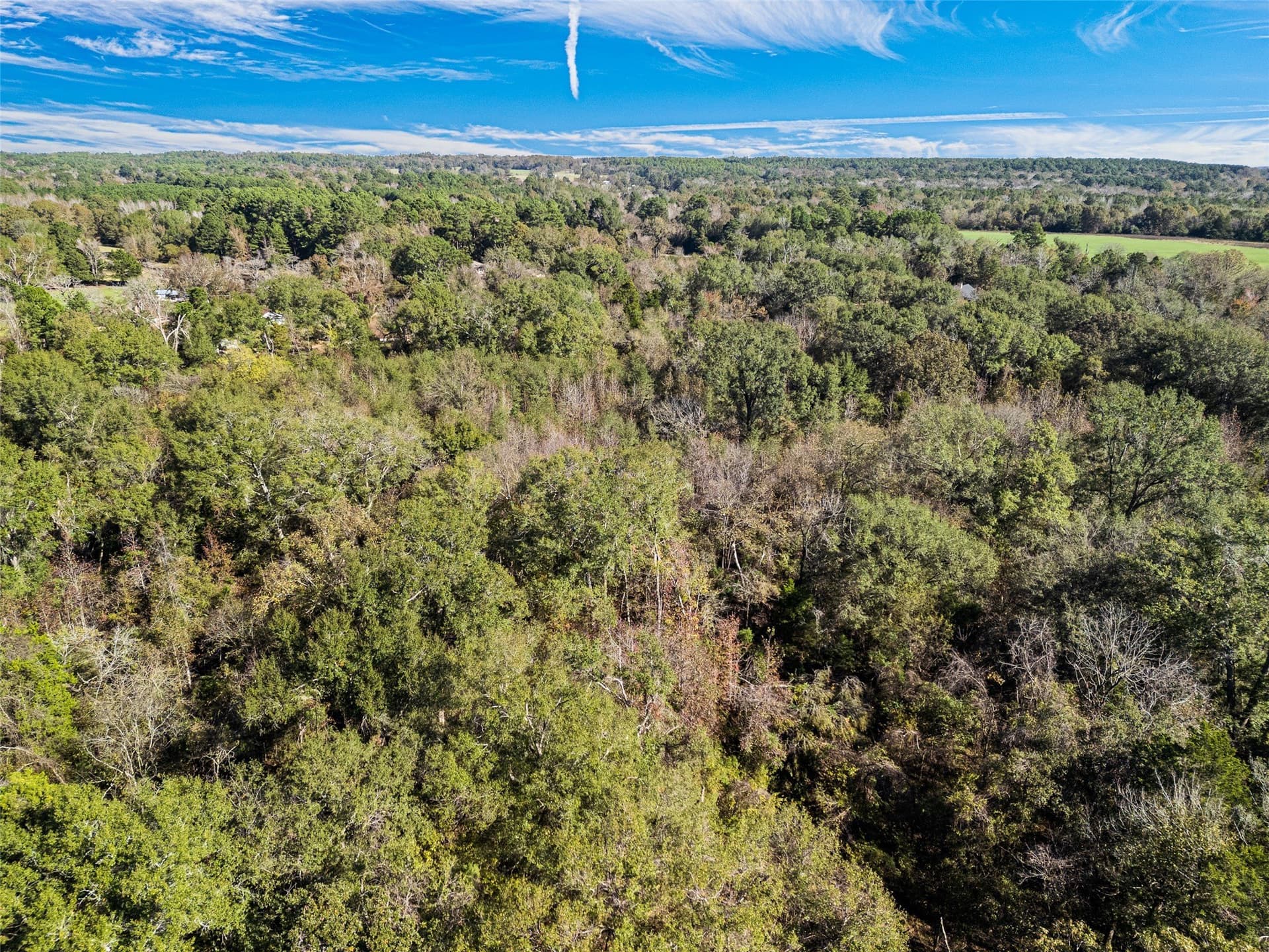17 acres in Van Zandt County - photo 11