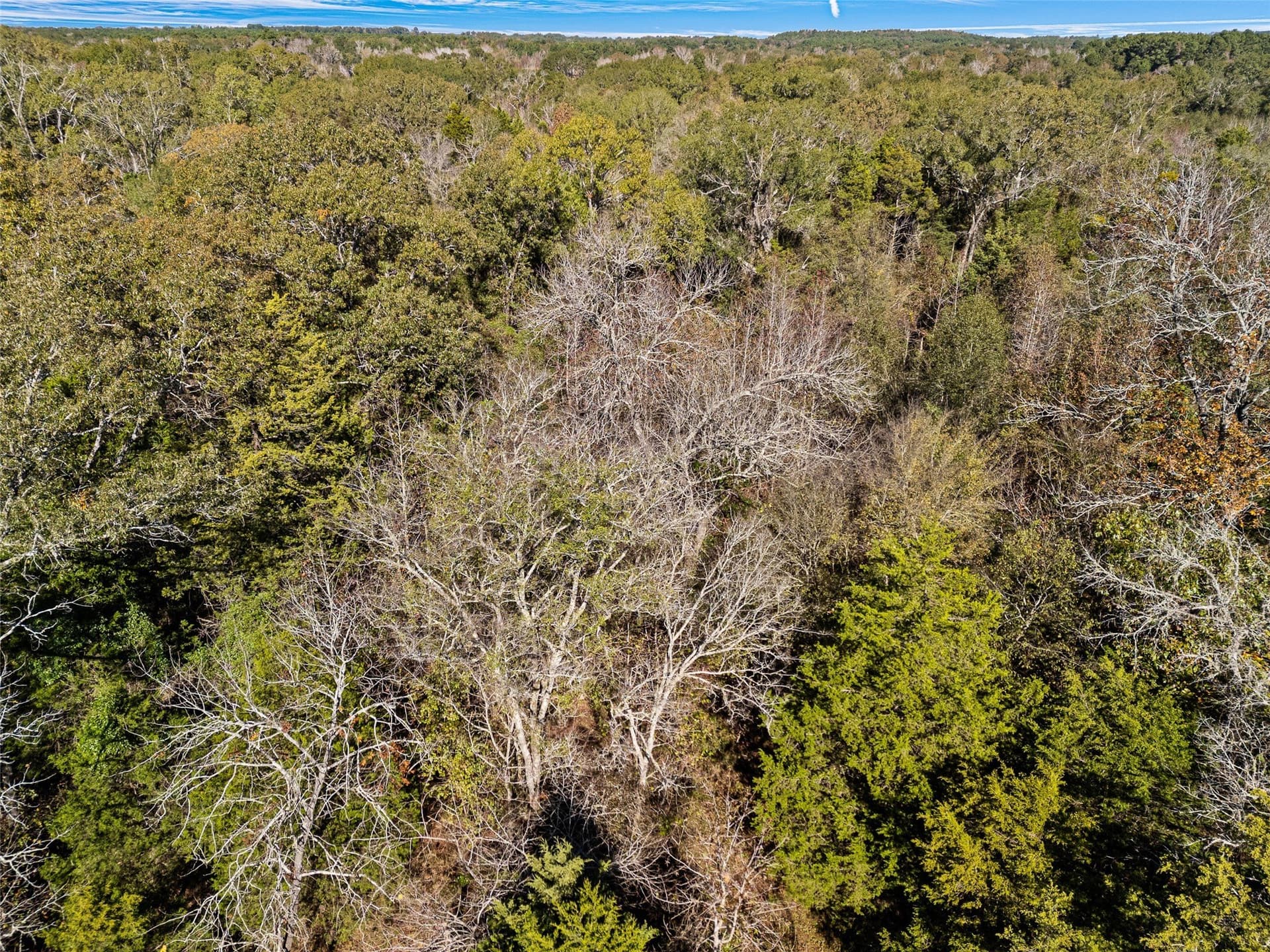 17 acres in Van Zandt County - photo 18