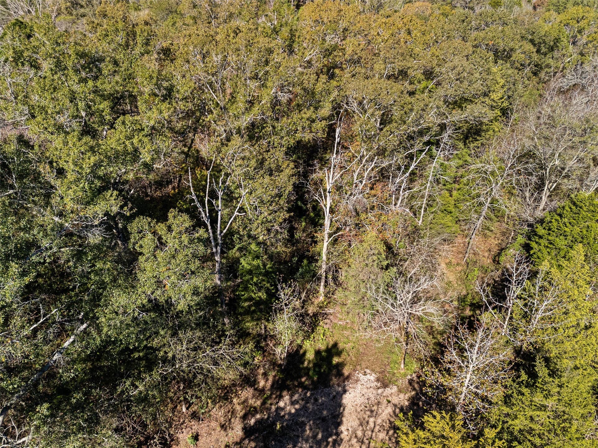 17 acres in Van Zandt County - photo 17