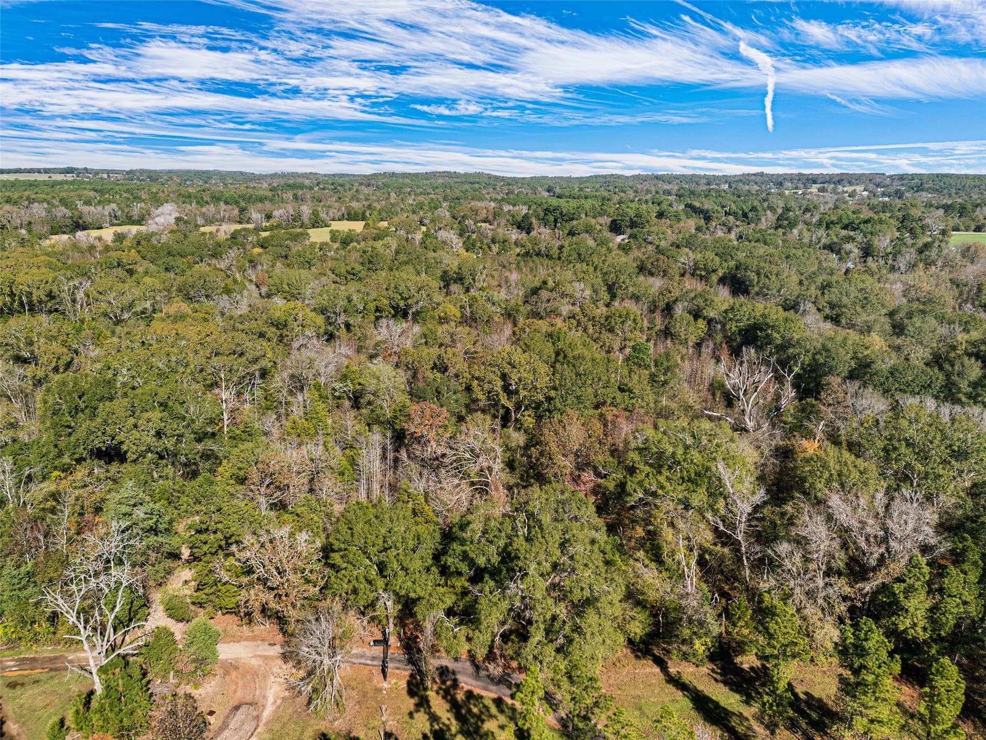17 acres in Van Zandt County - photo 4