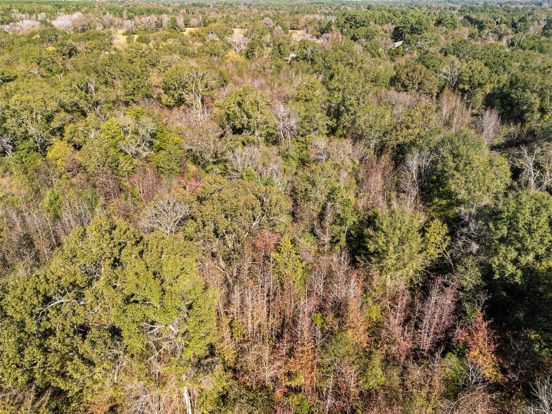17 acres in Van Zandt County - photo 10
