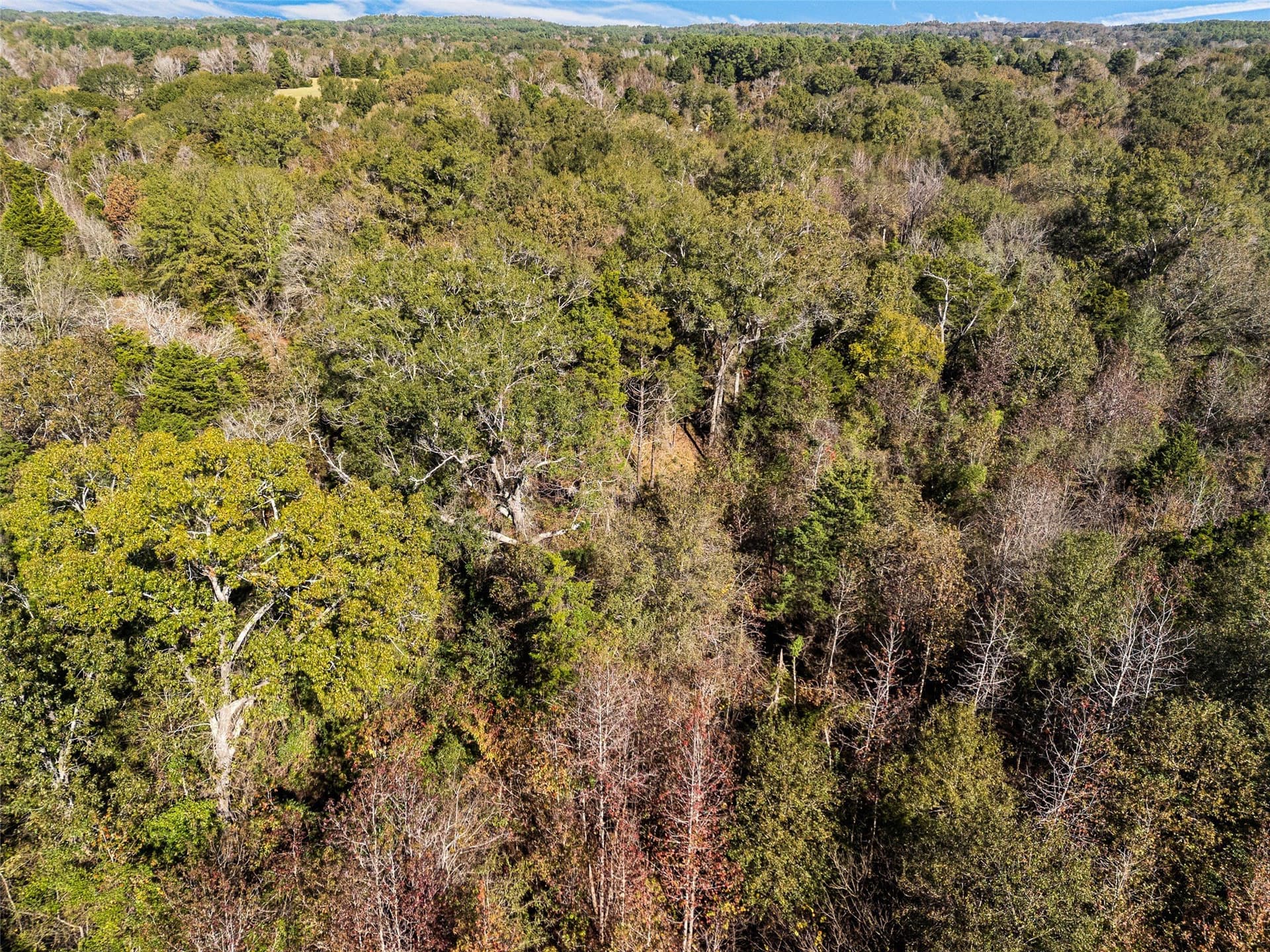 17 acres in Van Zandt County - photo 19